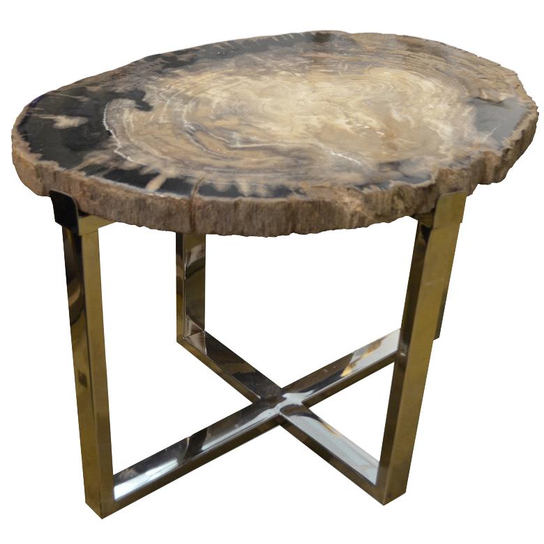 Andrianna Shamaris Petrified Wood Slab Side Table