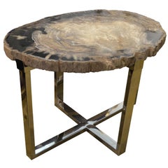 Antique Andrianna Shamaris Petrified Wood Slab Side Table