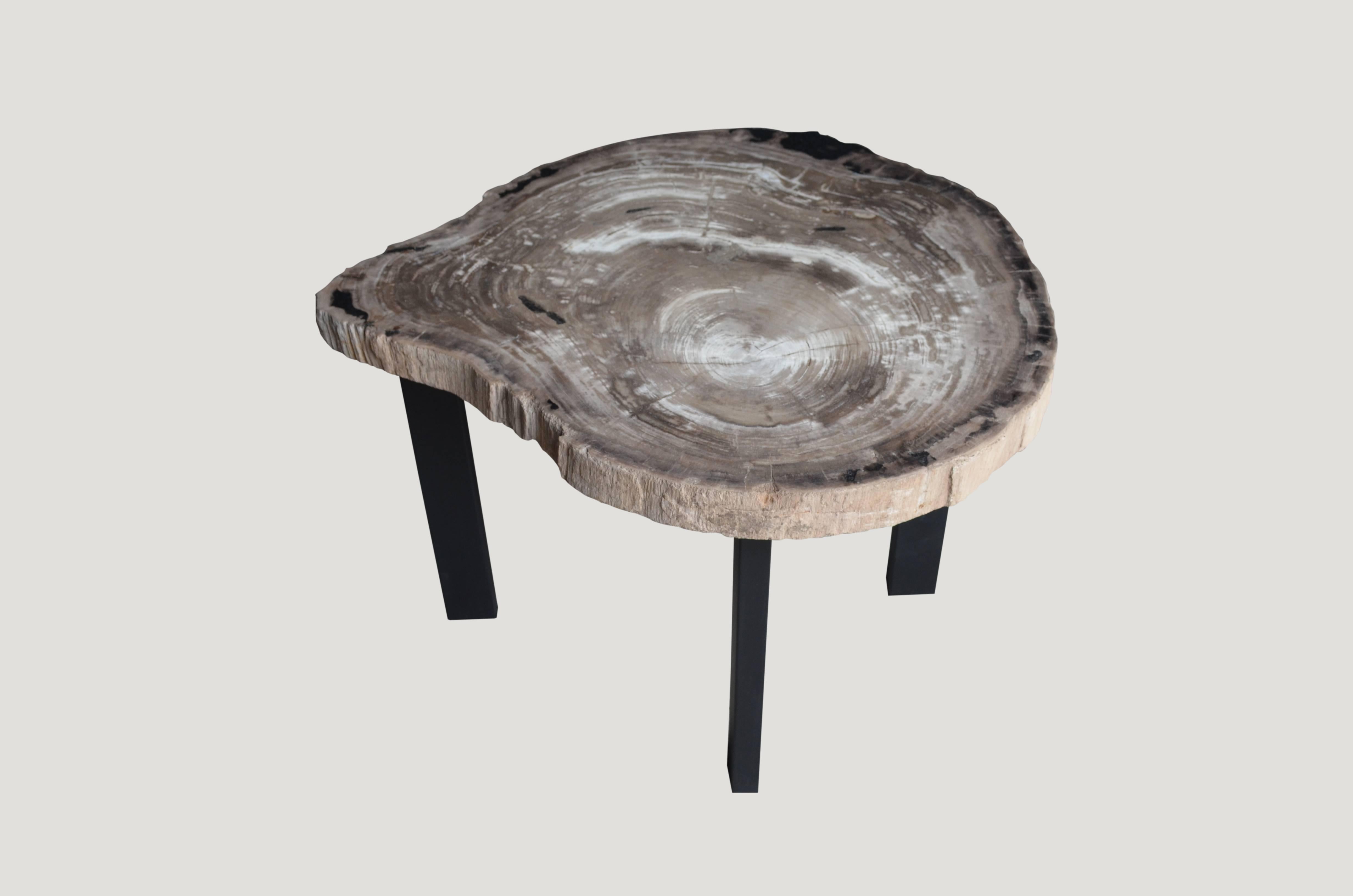 Rare, high quality petrified wood slab side table. Set on a minimalist black steel base.

As with a diamond, we polish the highest quality fossilized petrified wood, using our latest ground breaking technology to reveal its natural beauty and