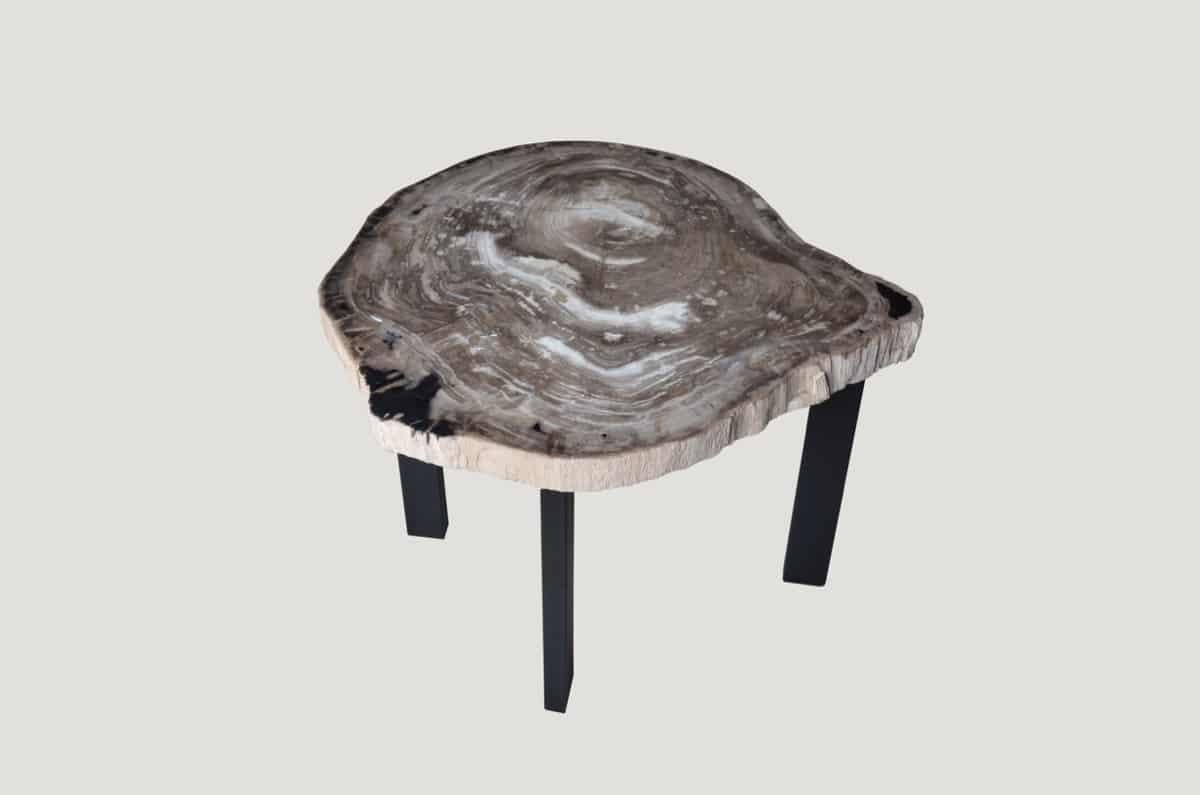 Organic Modern Andrianna Shamaris Petrified Wood Slab Table For Sale