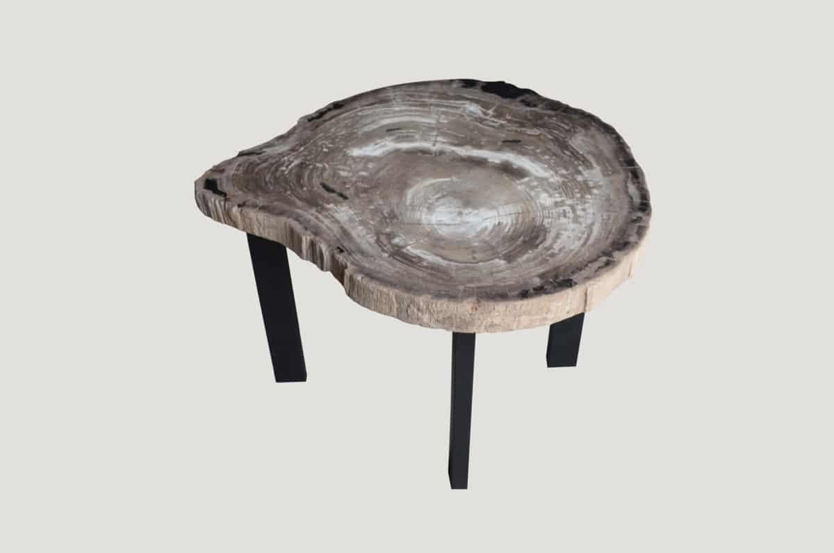 Andrianna Shamaris Petrified Wood Slab Table In Excellent Condition For Sale In New York, NY