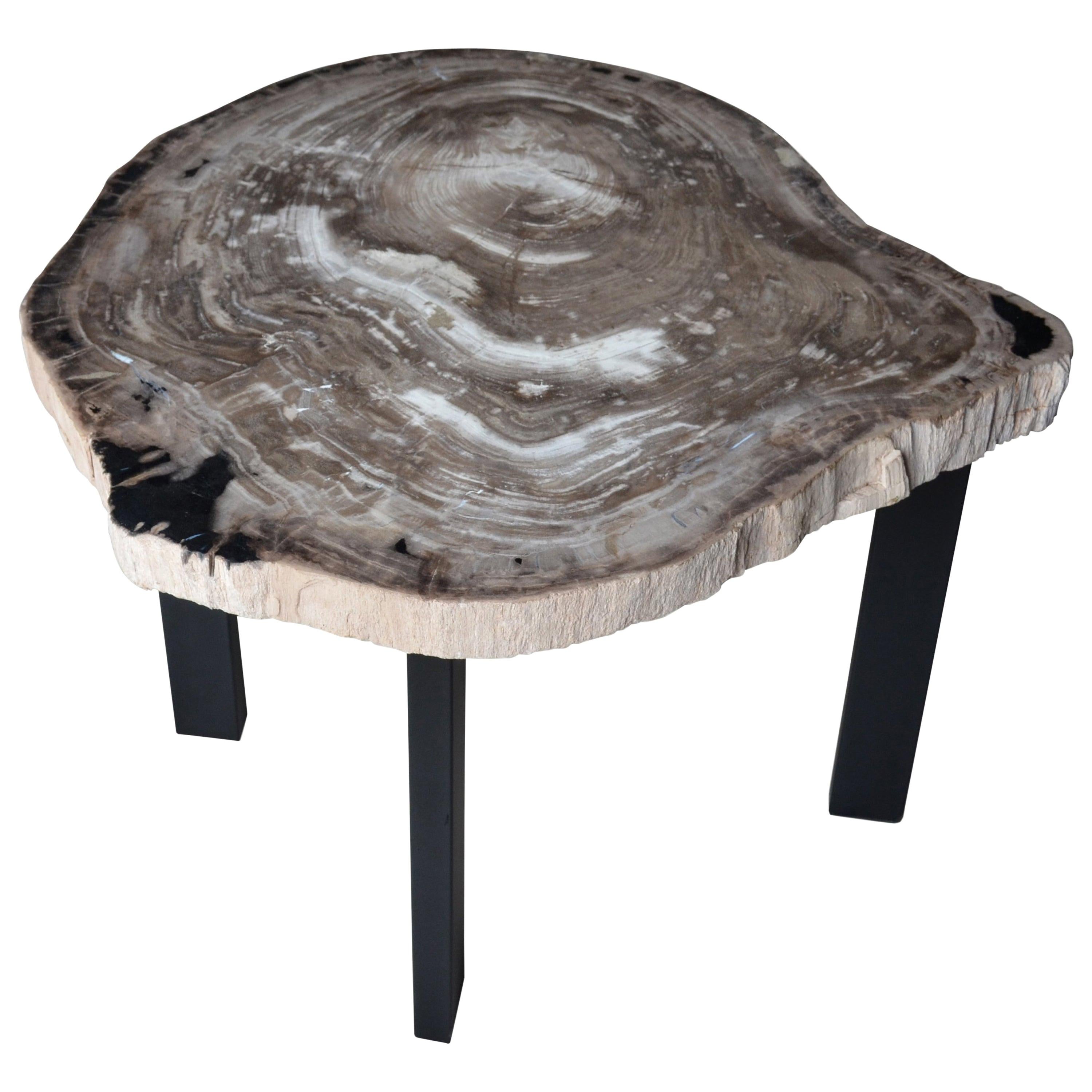 Andrianna Shamaris Petrified Wood Slab Table