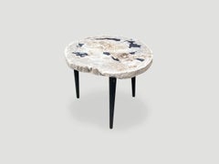 Andrianna Shamaris Petrified Wood Slab Table with Steel Base