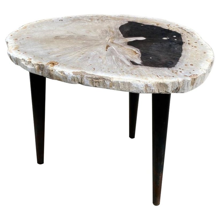 Andrianna Shamaris Petrified Wood Slab Table with Steel Base For Sale