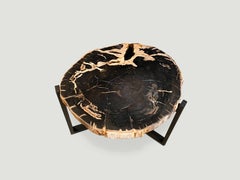 Andrianna Shamaris Petrified Wood Slab Top Side Table