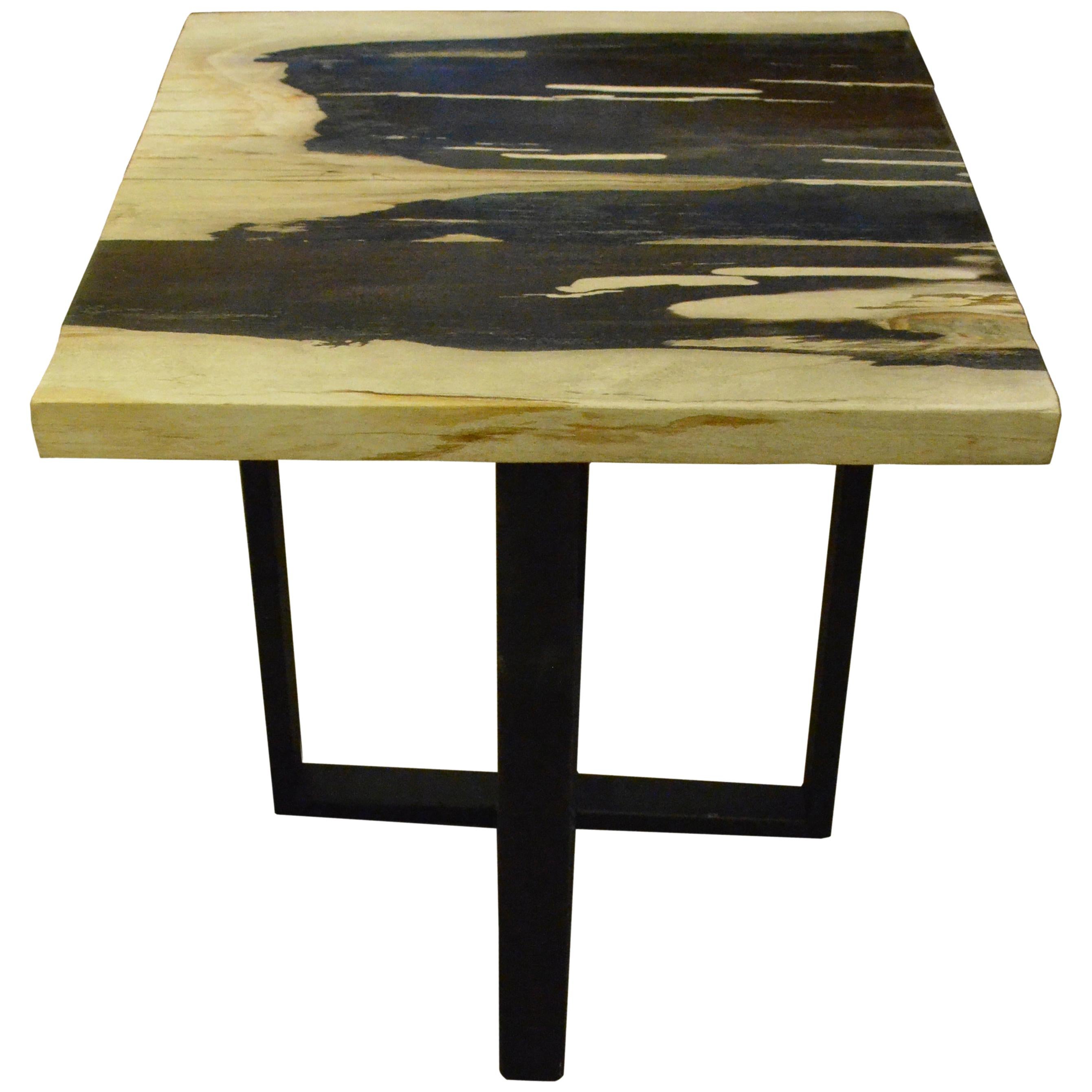 Andrianna Shamaris Petrified Wood Slab Top Side Table