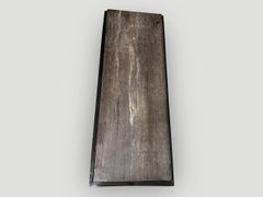 Andrianna Shamaris Petrified Wood Slab with Minimalist Teak Wood Base
