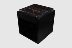 Andrianna Shamaris Petrified Wood Slab with Modern Base