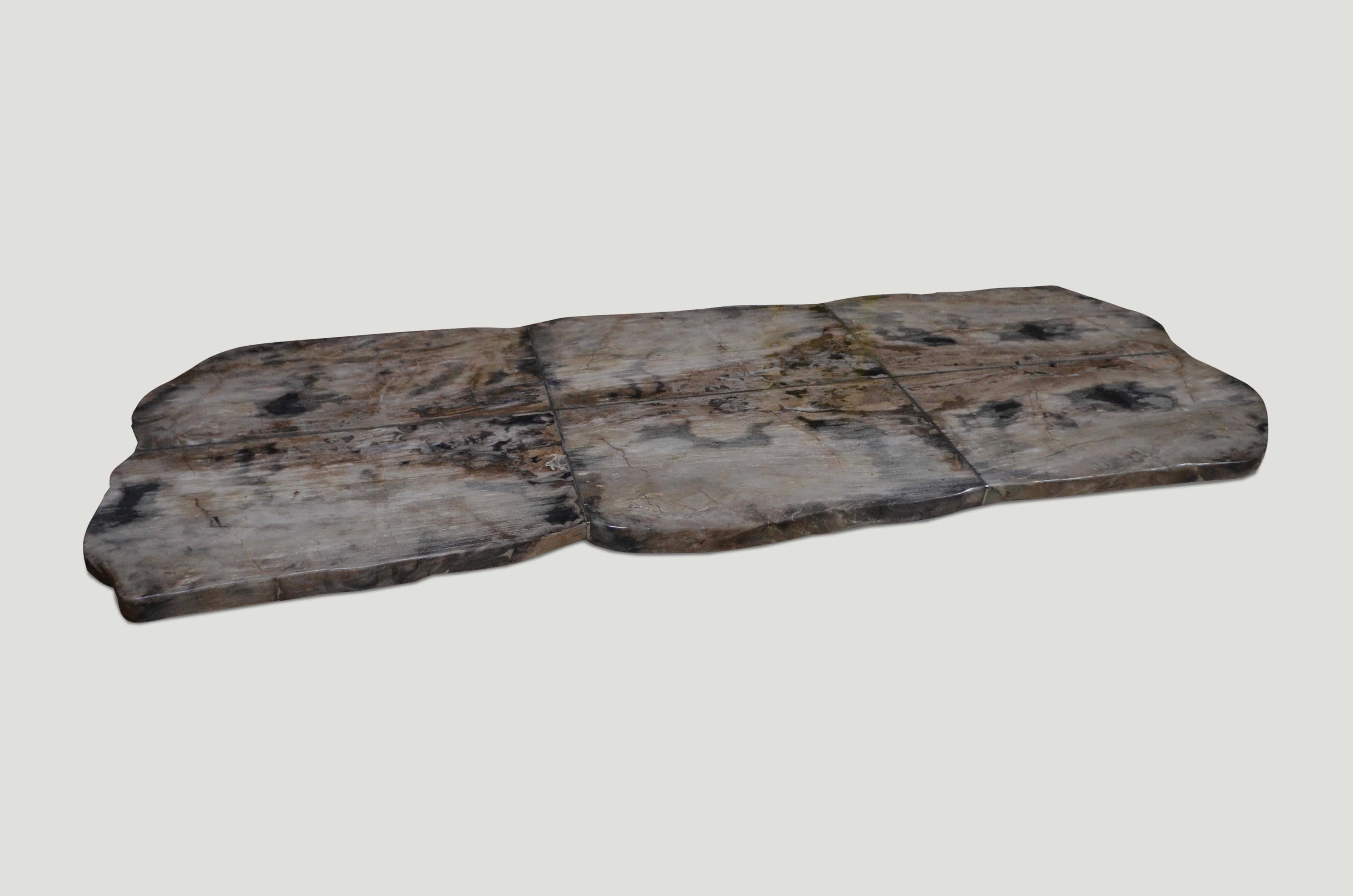 Acier inoxydable Table en bois pétrifié Andrianna Shamaris en vente