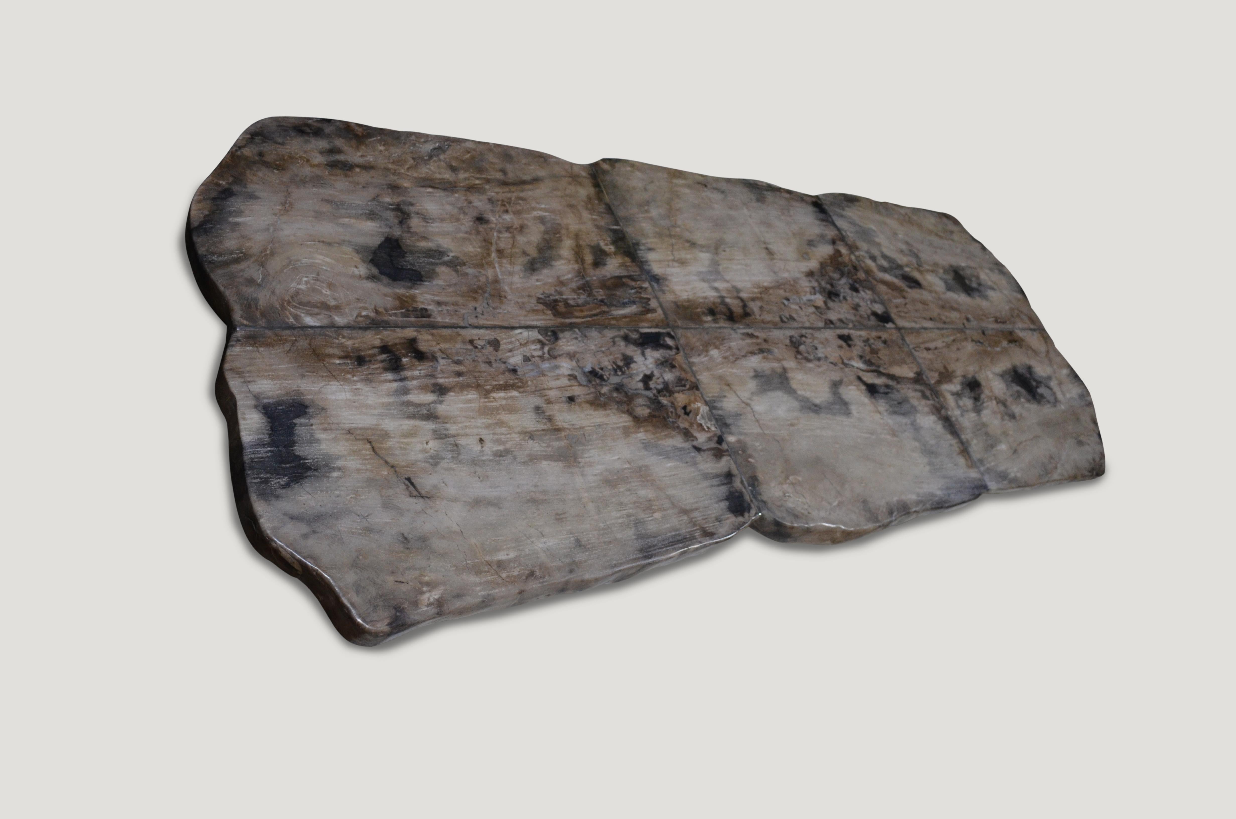 Andrianna Shamaris Petrified Wood Table For Sale 1