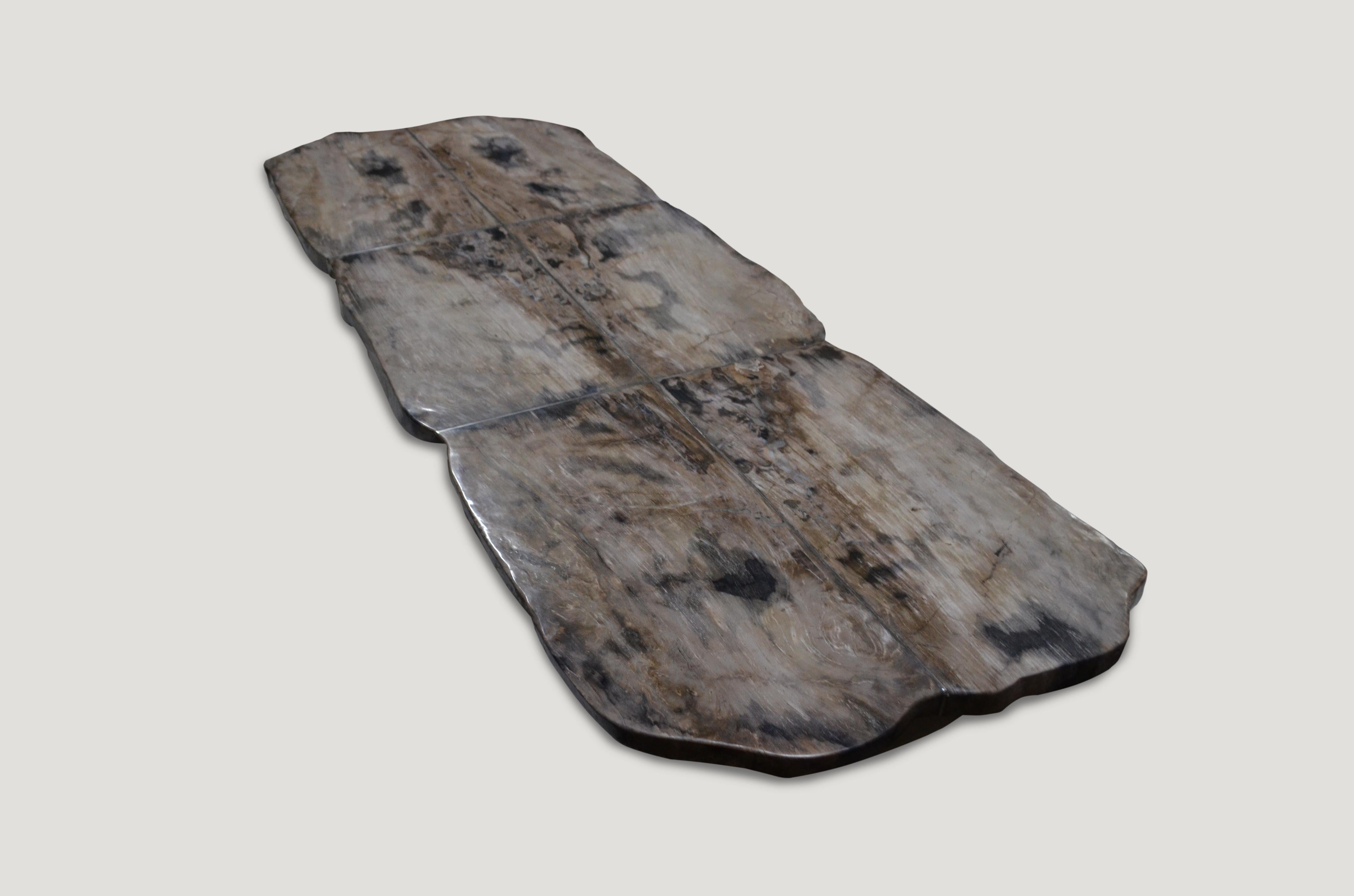 Andrianna Shamaris Petrified Wood Table For Sale 2