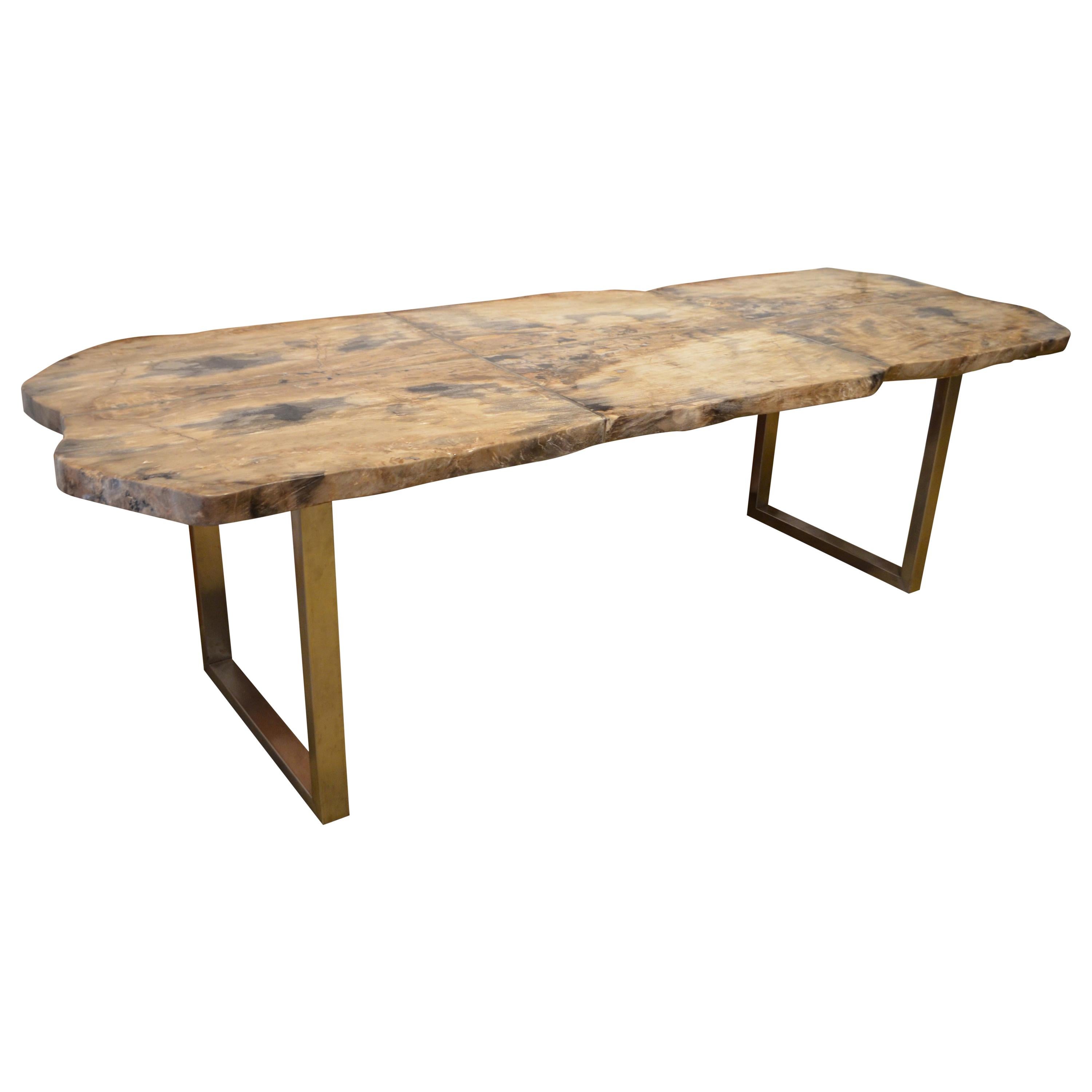 Andrianna Shamaris Petrified Wood Table For Sale