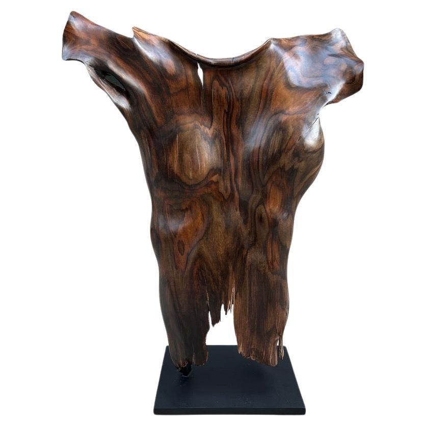 Andrianna Shamaris Rare Ancient Wood Torso For Sale