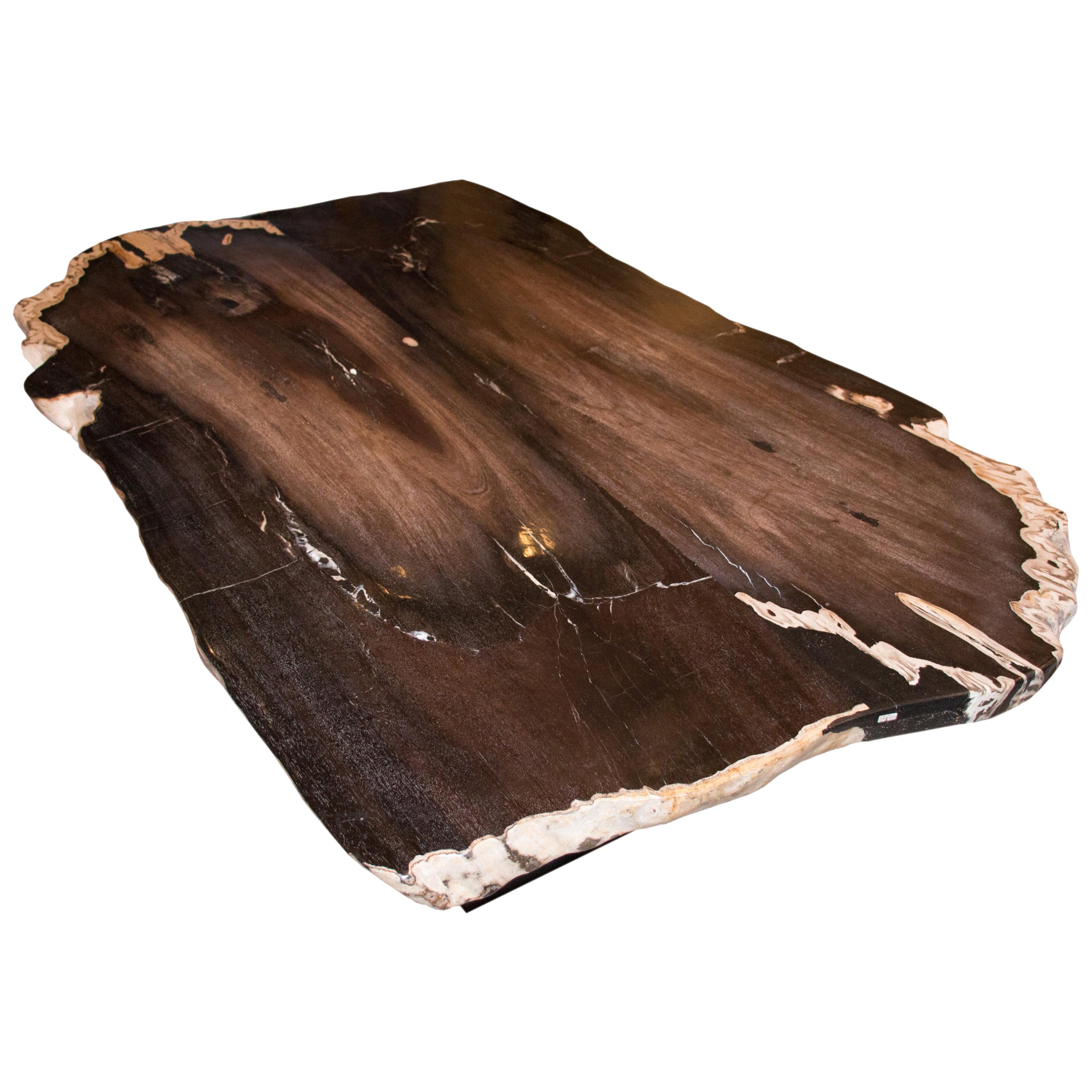 Andrianna Shamaris Rare Black and White Super Smooth Petrified Wood Coffee Table