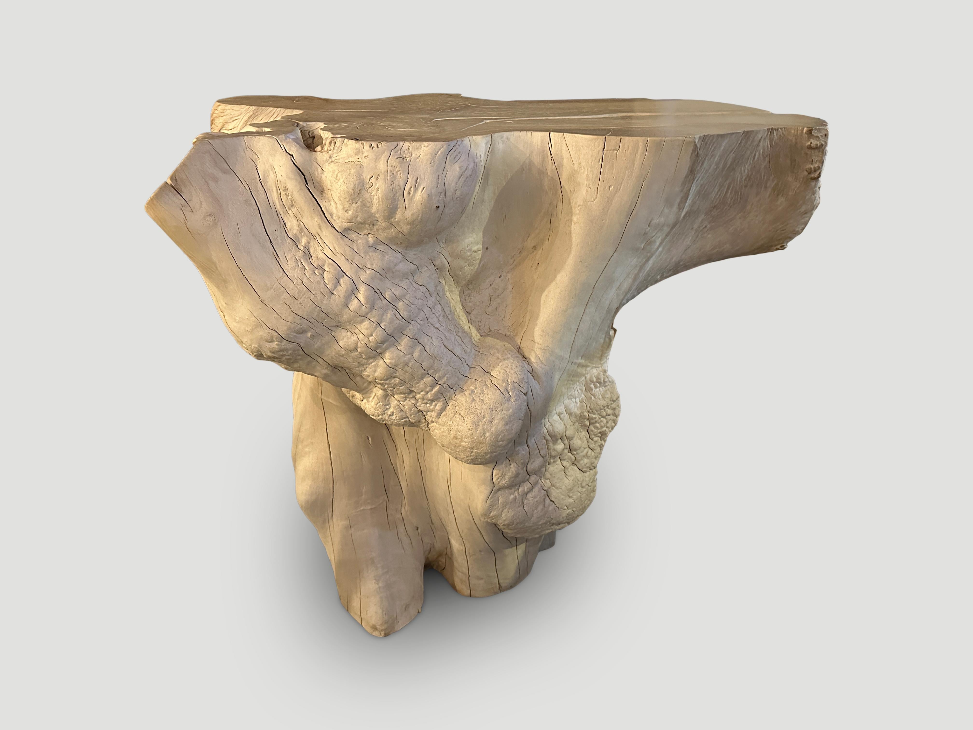 Impressive bleached teak wood console featuring the root of the tree with stunning natural markings that resemble clusters of pearls. This beautiful rare wood is the hardest to source. Sculptural and usable one of a kind piece. 

The St. Barts