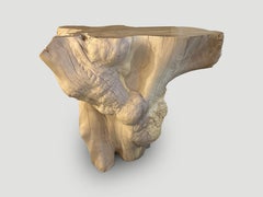 Andrianna Shamaris Rare Bleached Teak Root Console Table
