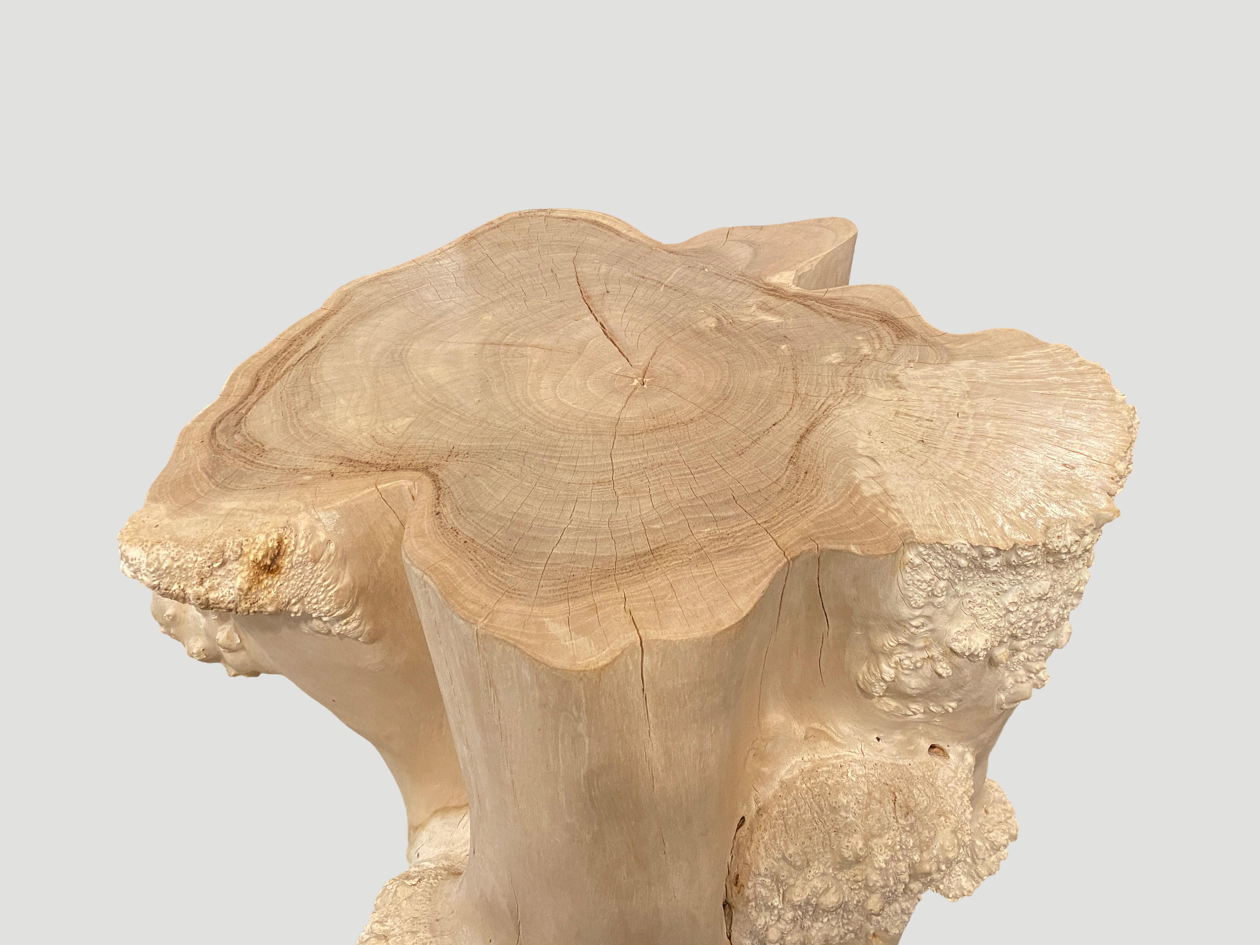 Wood Andrianna Shamaris Rare Bleached Teak Root Pedestal For Sale