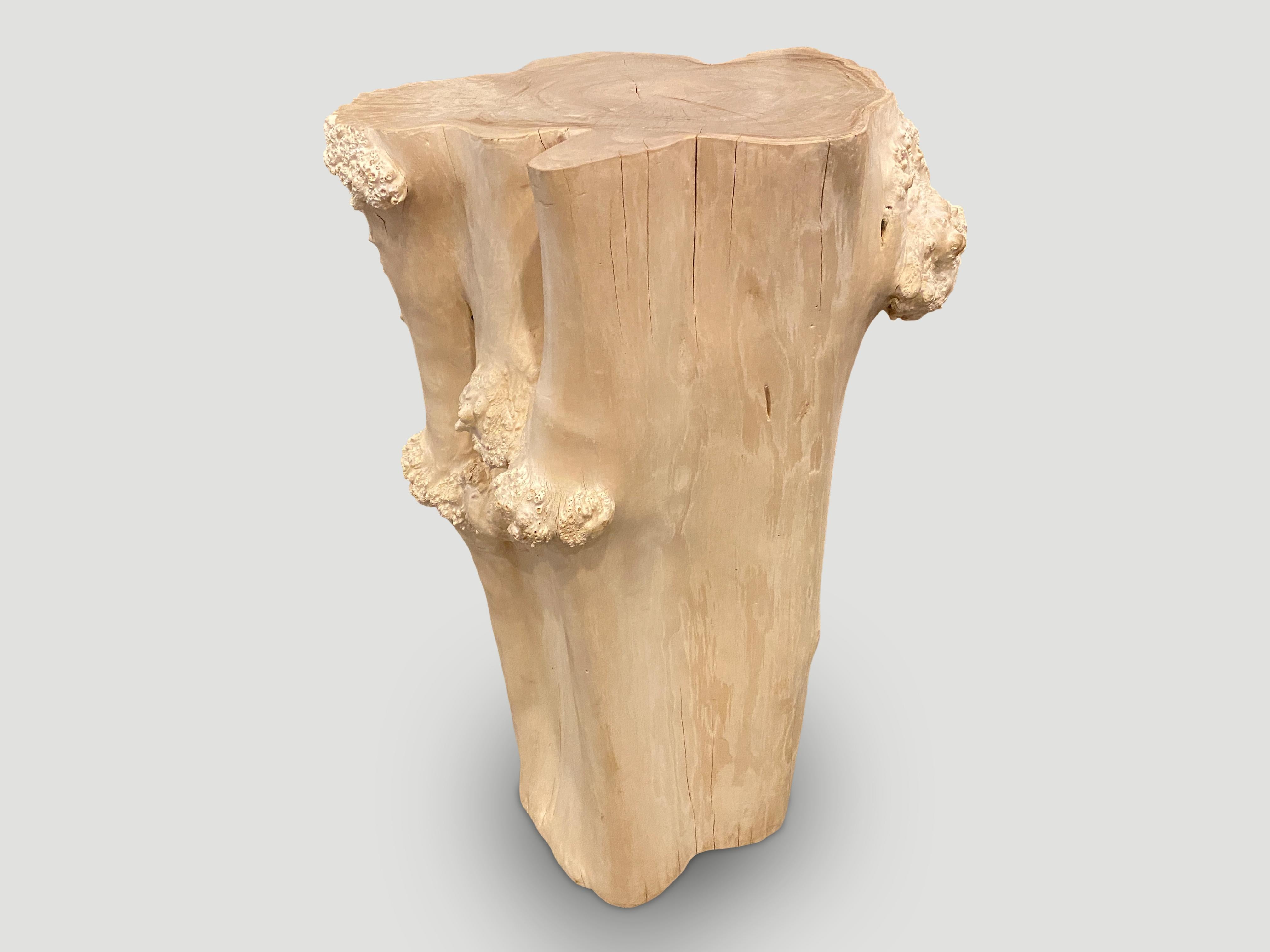 Andrianna Shamaris Rare Bleached Teak Root Pedestal In Excellent Condition For Sale In New York, NY
