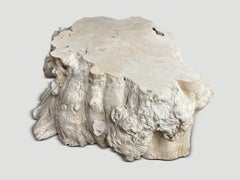 Andrianna Shamaris Rare Bleached Teak Wood Root Coffee Table