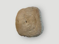 Andrianna Shamaris Rare Bleached Teak Wood Slab