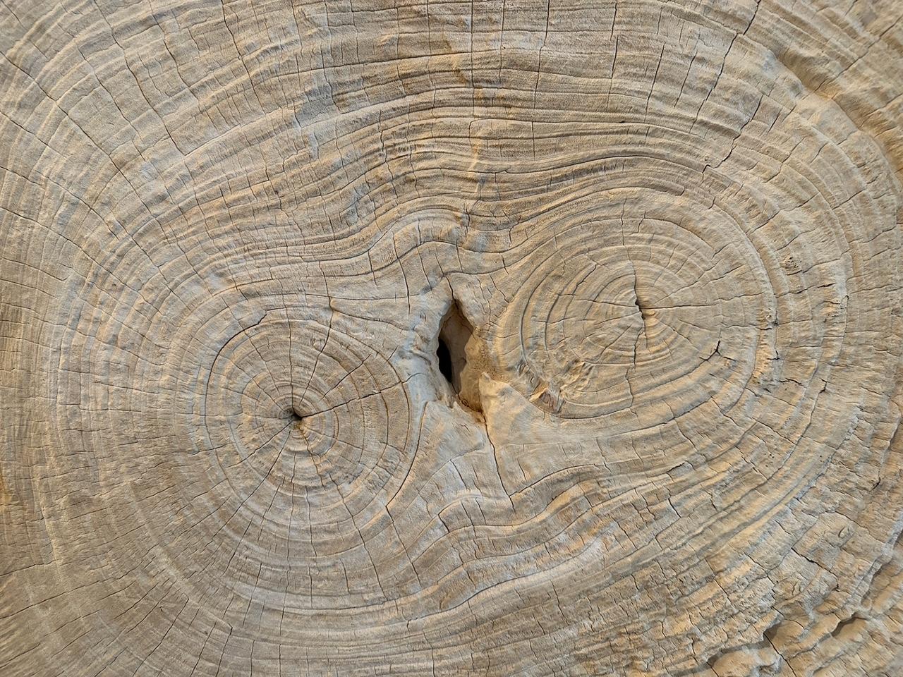 wood slab circle