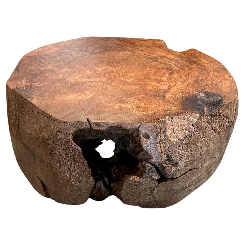 Andrianna Shamaris Rare Burl Teak Wood Coffee Table For Sale at 1stDibs