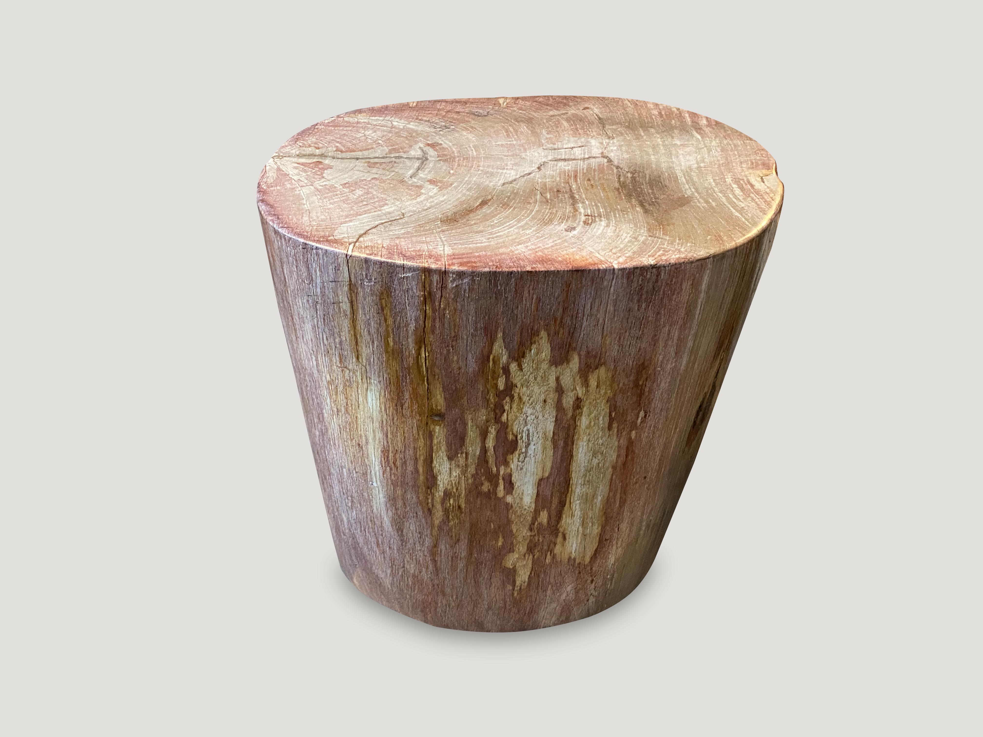 Beautiful, rare coral toned, high quality petrified wood side table. It’s fascinating how Mother Nature produces these stunning 40 million year old petrified teak logs with such contrasting colors with natural patterns throughout. Modern yet with so