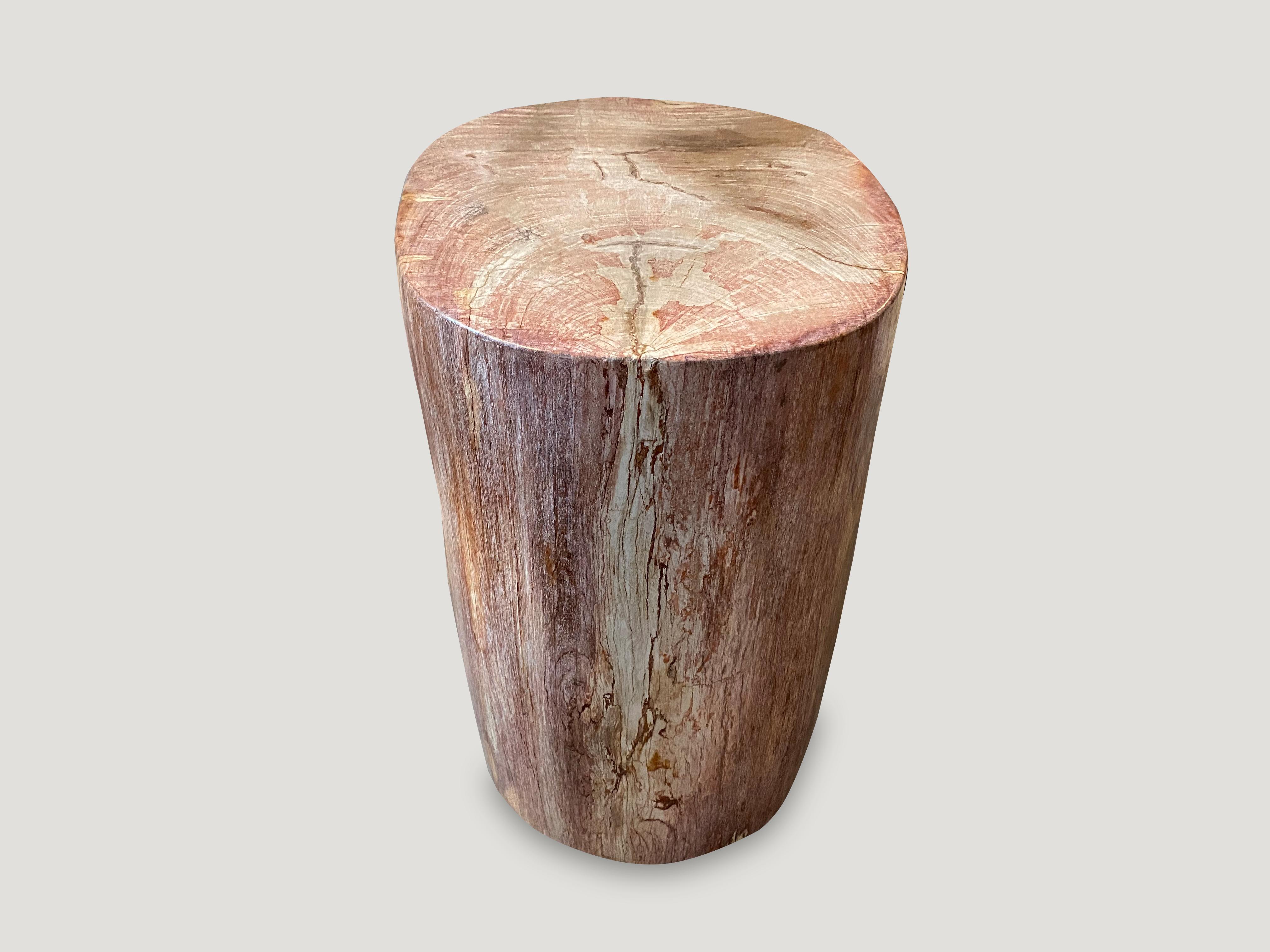 Organic Modern Andrianna Shamaris Rare Coral Toned Petrified Wood Side Table