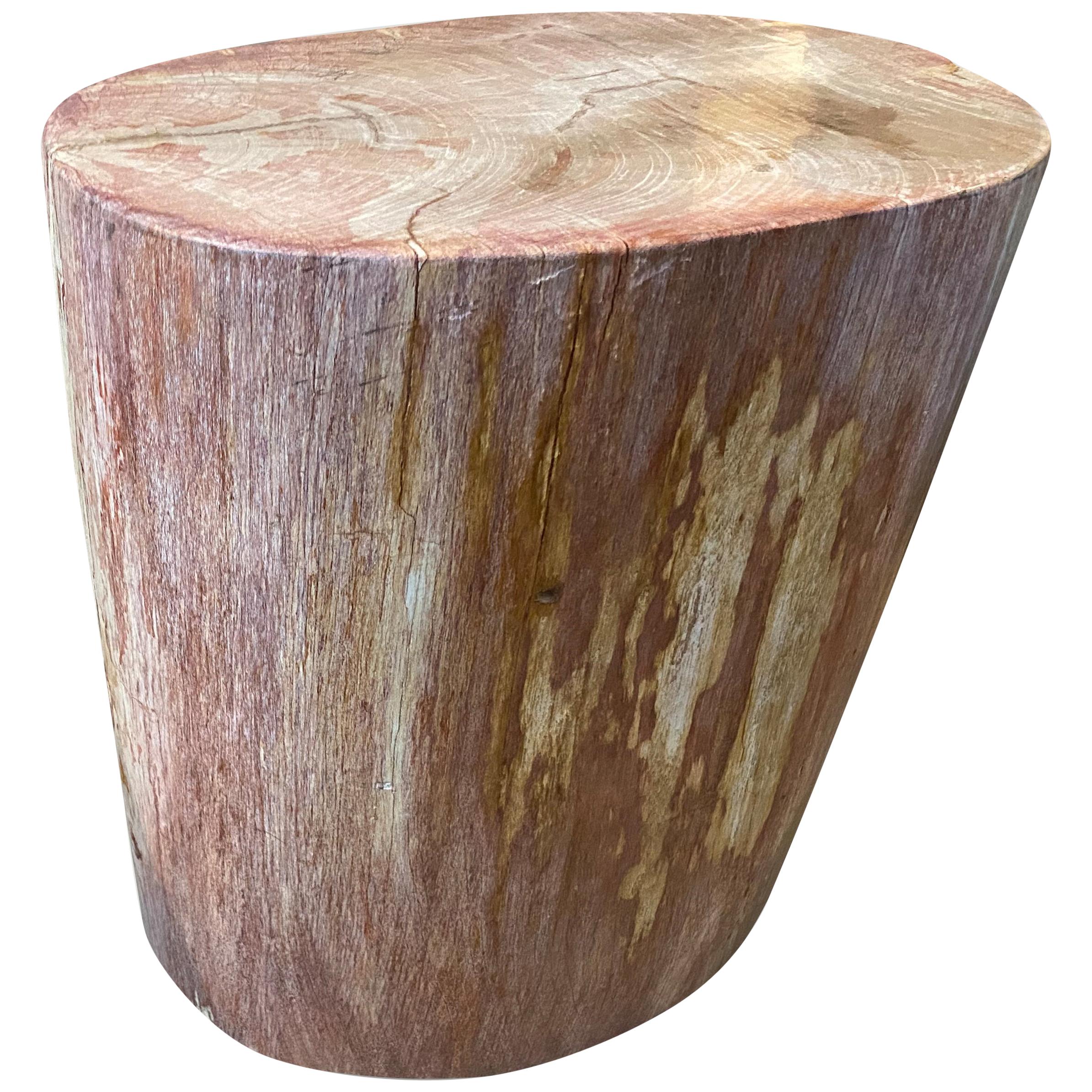 Andrianna Shamaris Rare Coral Toned Petrified Wood Side Table