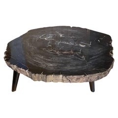 Andrianna Shamaris Rare Dark Blue High Quality Petrified Wood Coffee Table