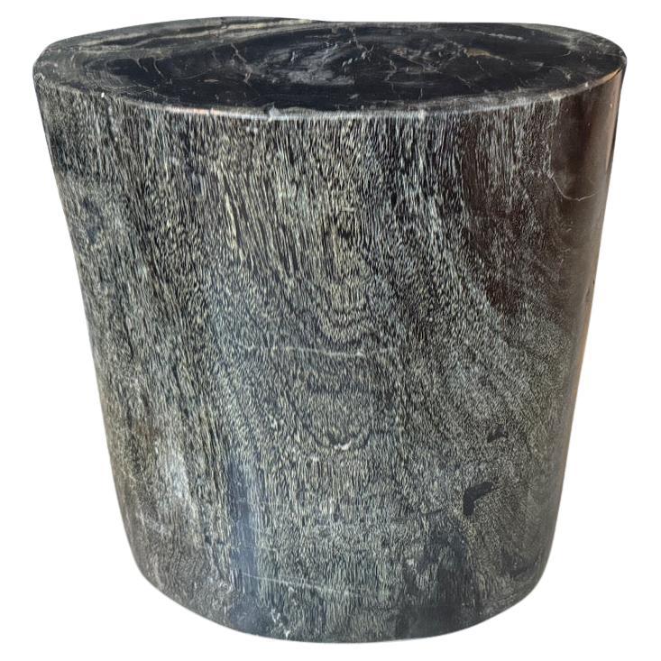 Andrianna Shamaris rare table d'appoint en bois pétrifié vert foncé en vente