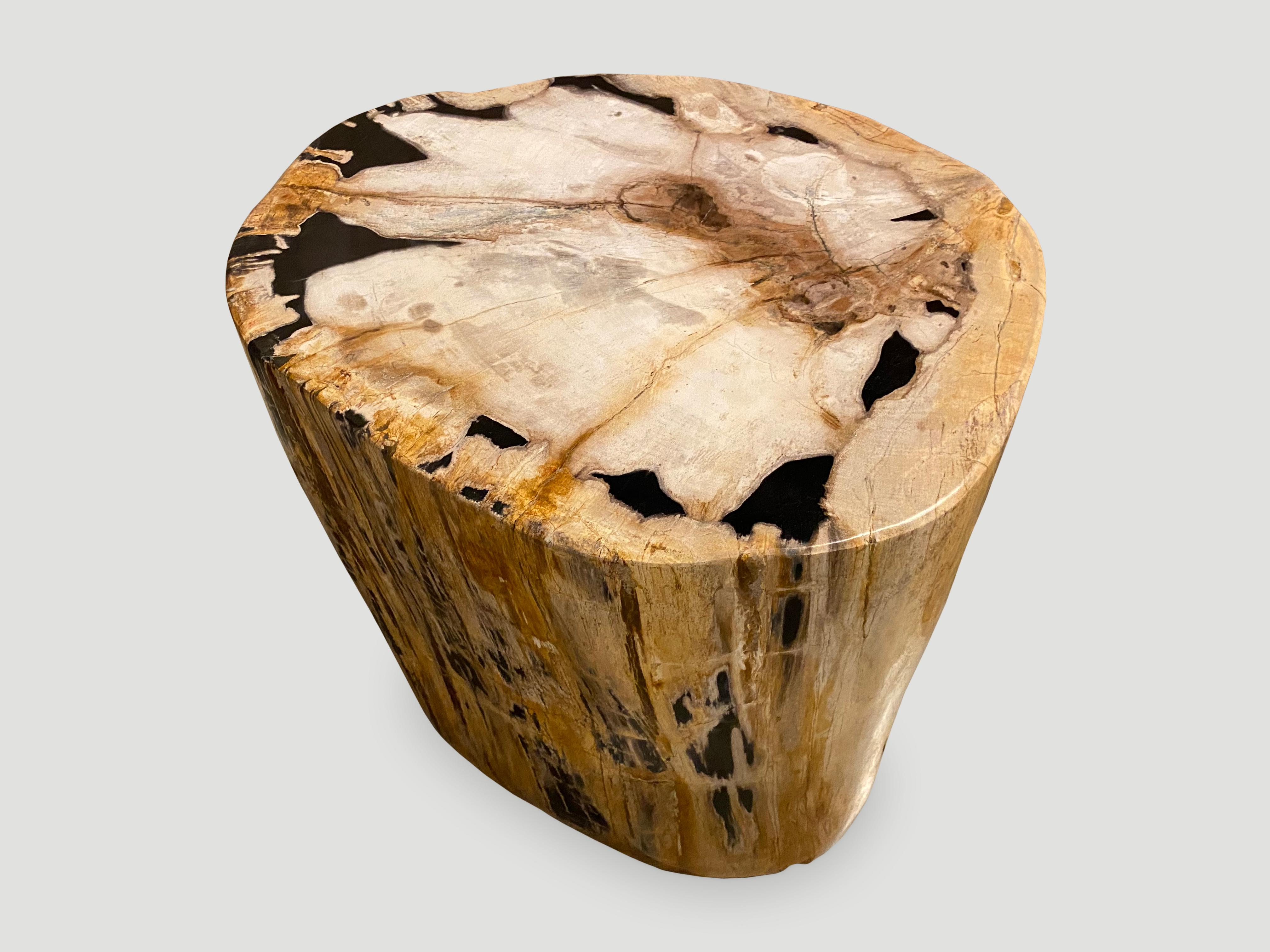 Andrianna Shamaris Rare High Quality Petrified Wood Side Table 5
