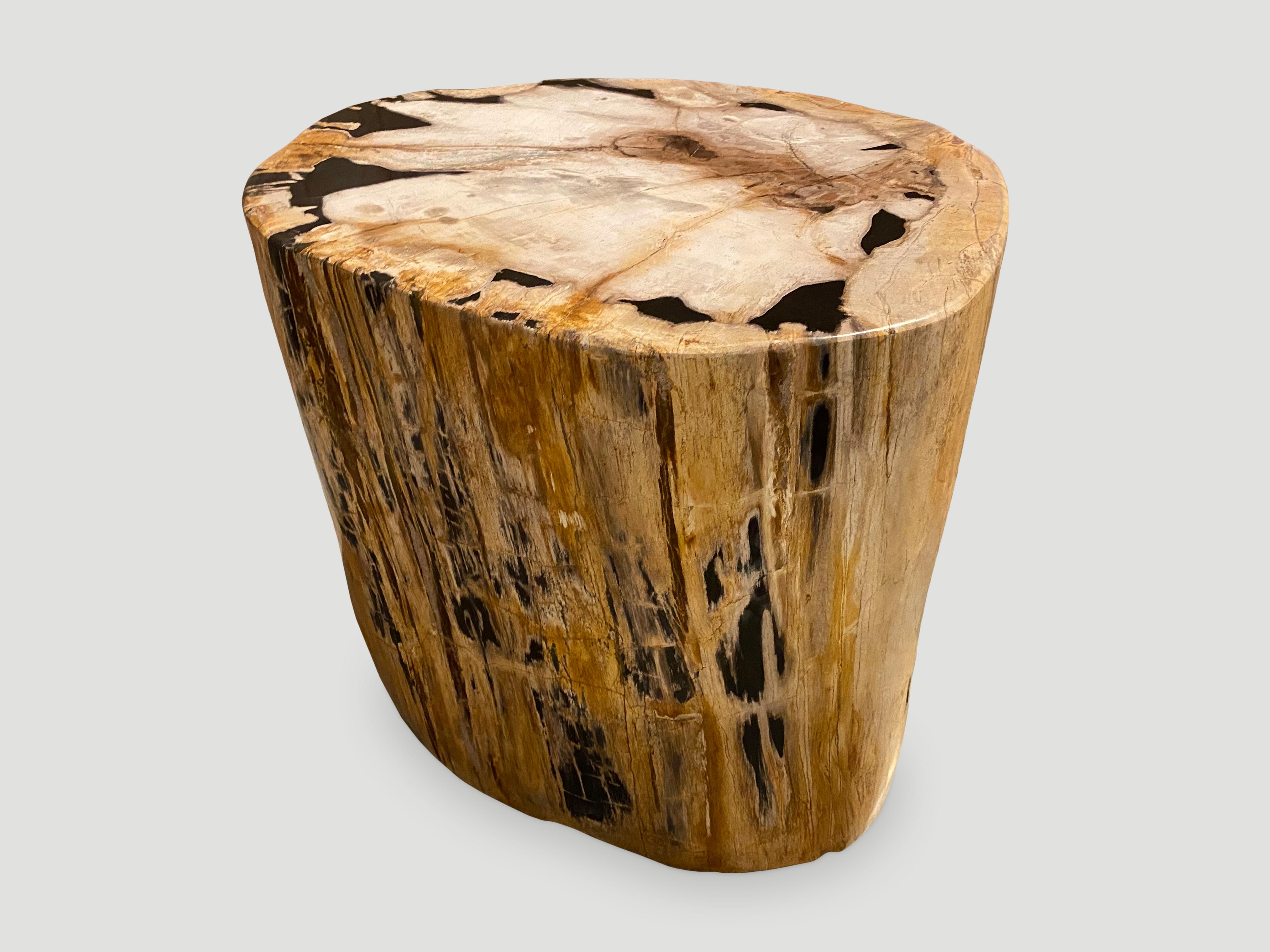 Andrianna Shamaris Rare High Quality Petrified Wood Side Table 6