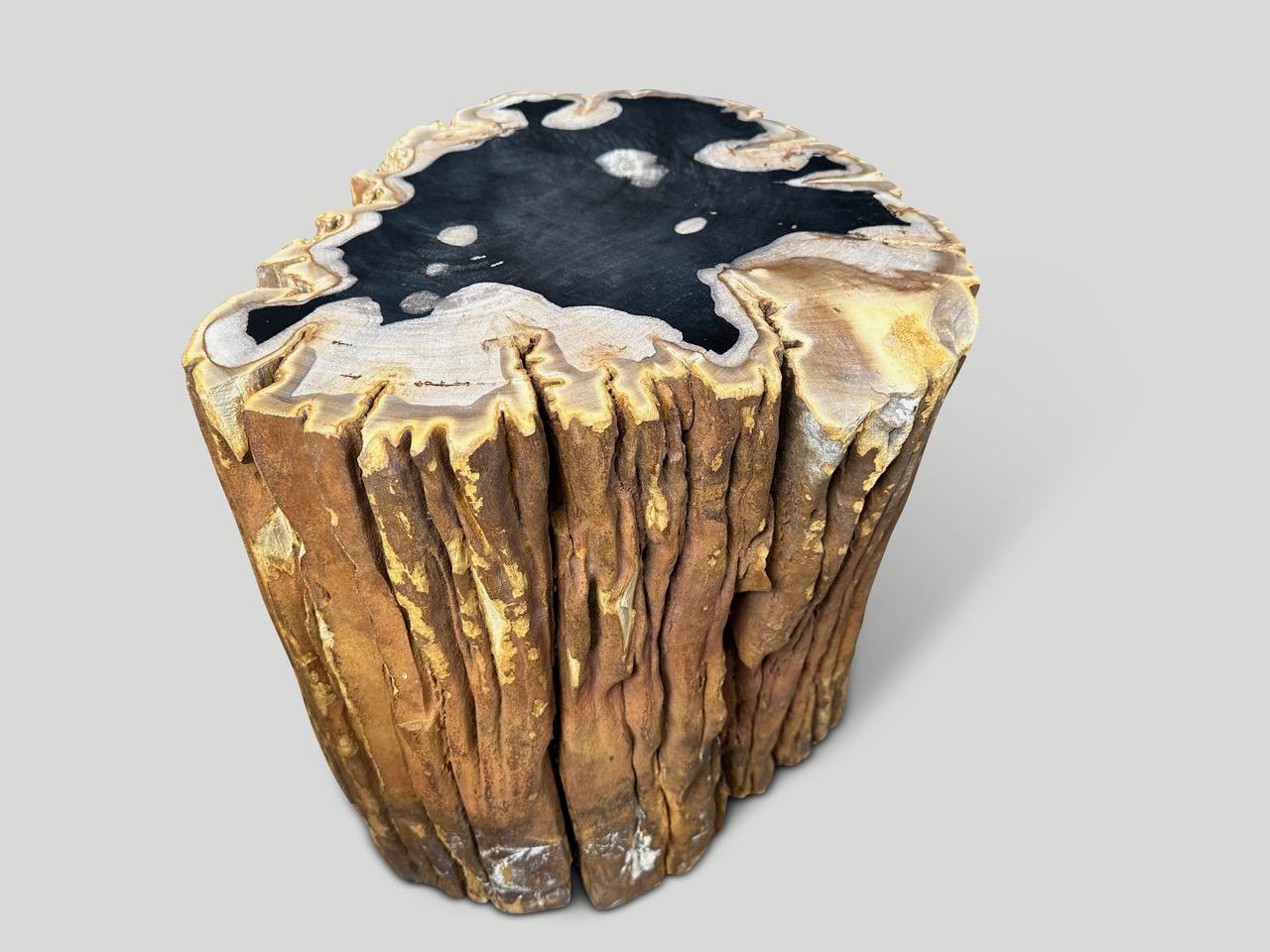 Fascinating Petrified Wood Side Table Gallery