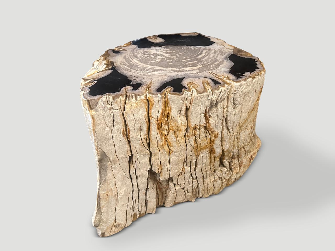 Impressive high quality petrified wood side table with strong contrasting tones. It’s fascinating how Mother Nature produces these stunning 40 million year old petrified teak logs with such contrasting colors and natural patterns throughout. Modern