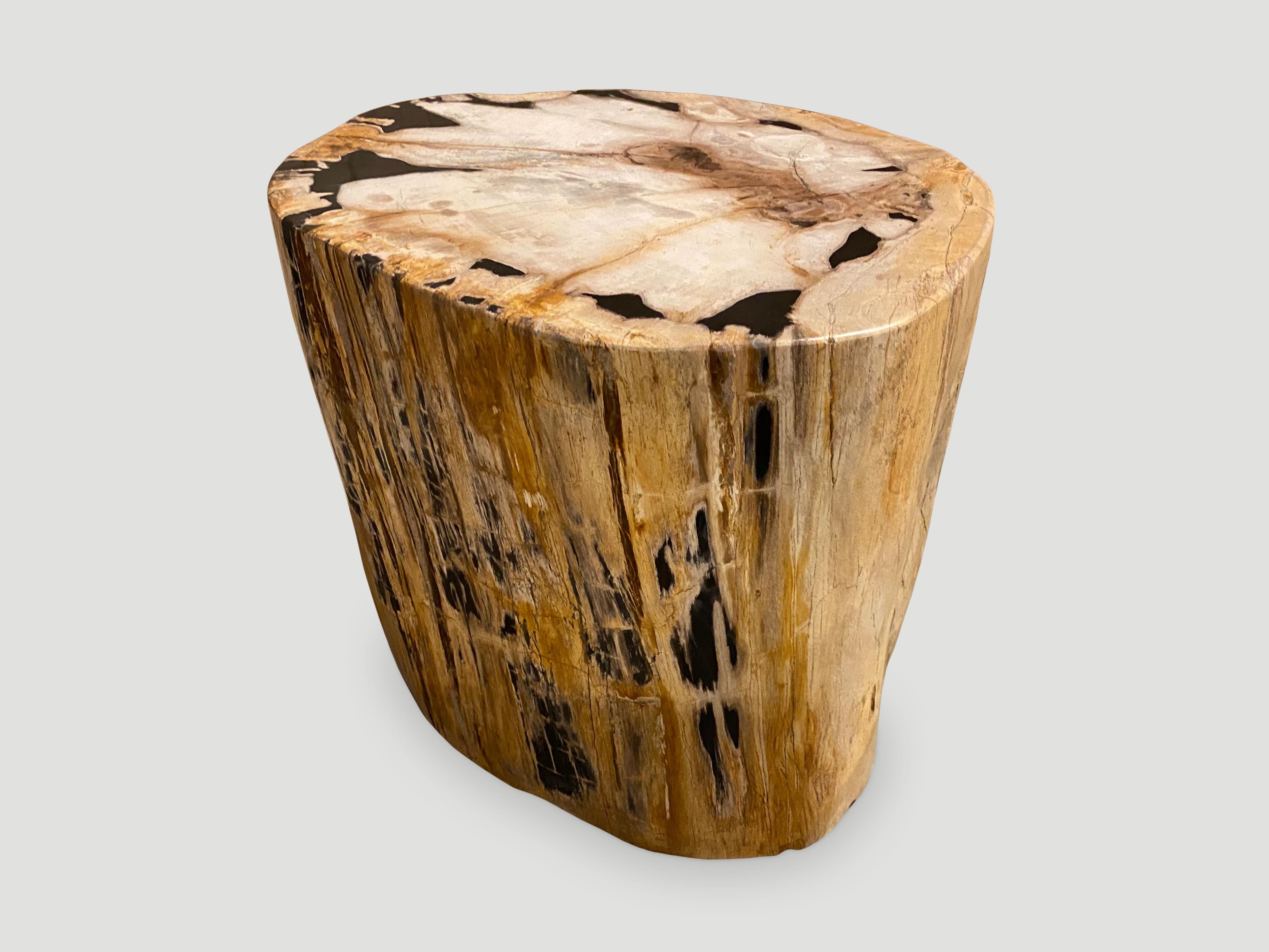 Organic Modern Andrianna Shamaris Rare High Quality Petrified Wood Side Table