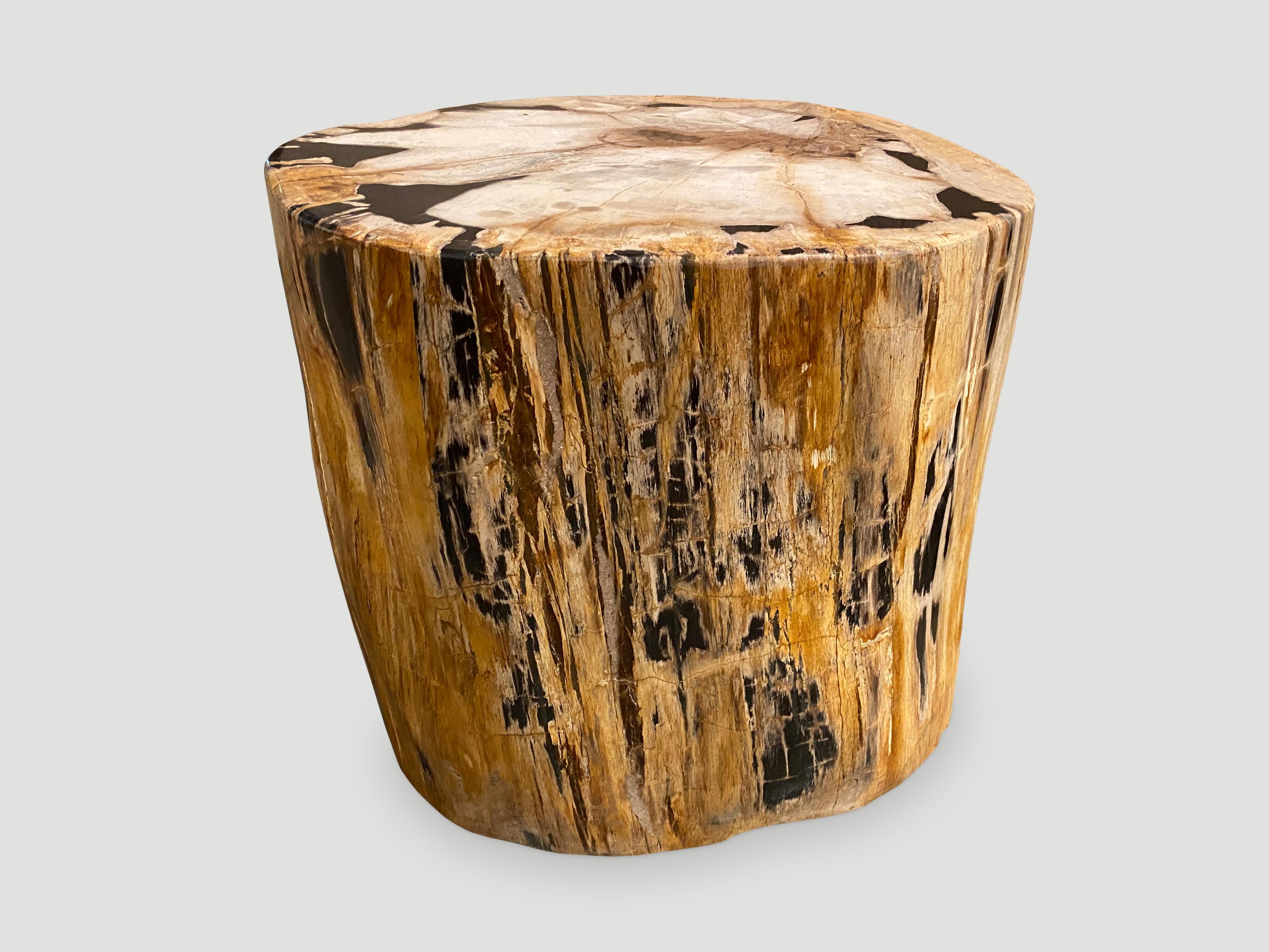 Andrianna Shamaris Rare High Quality Petrified Wood Side Table In Excellent Condition In New York, NY