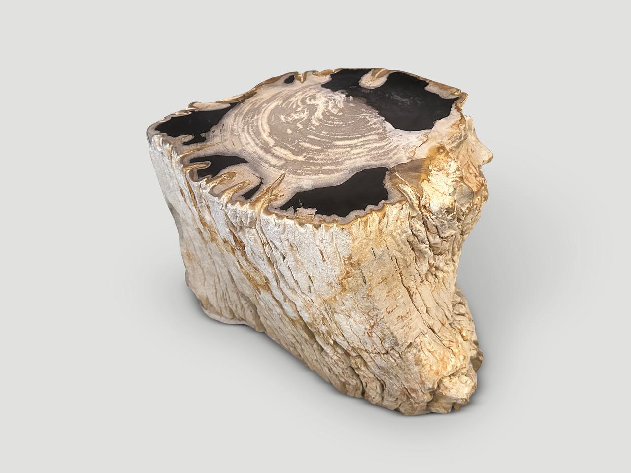 Andrianna Shamaris Rare High Quality Petrified Wood Side Table In Good Condition For Sale In New York, NY