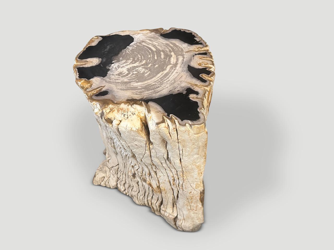 Contemporary Andrianna Shamaris Rare High Quality Petrified Wood Side Table For Sale