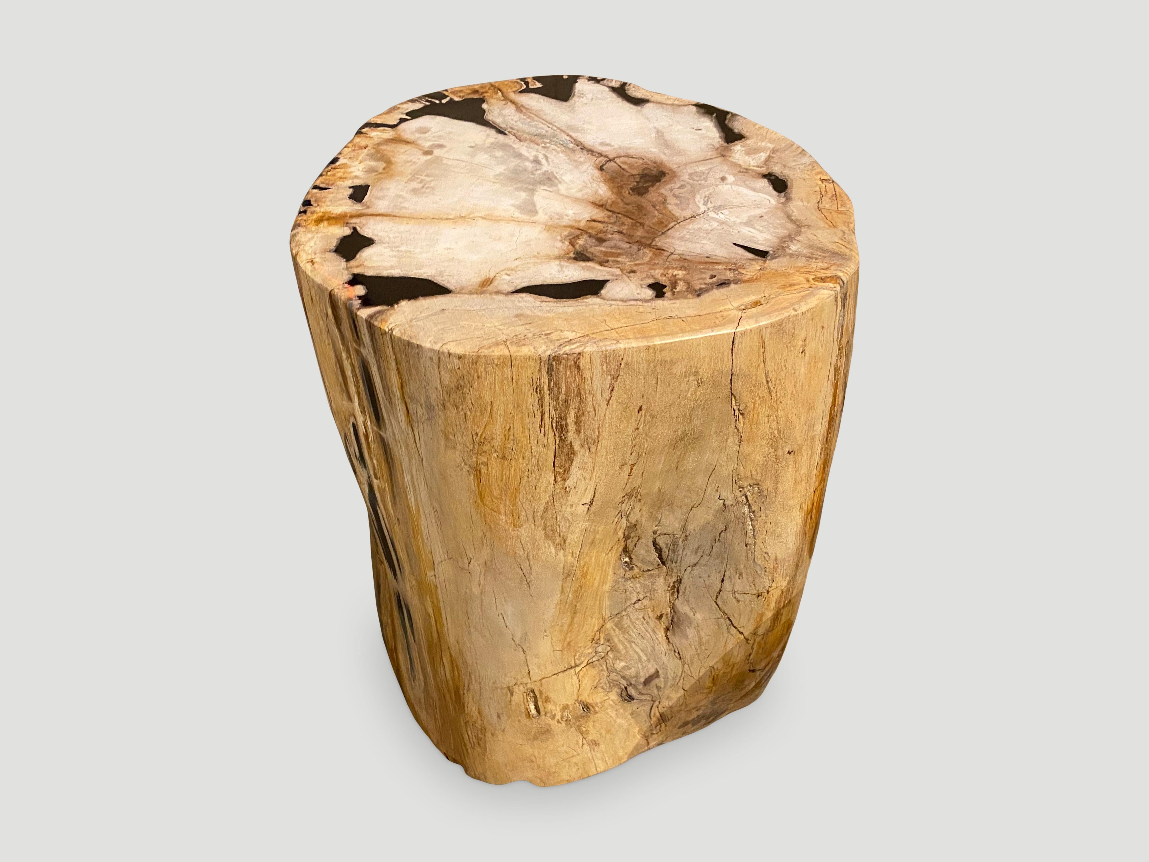 Andrianna Shamaris Rare High Quality Petrified Wood Side Table 1