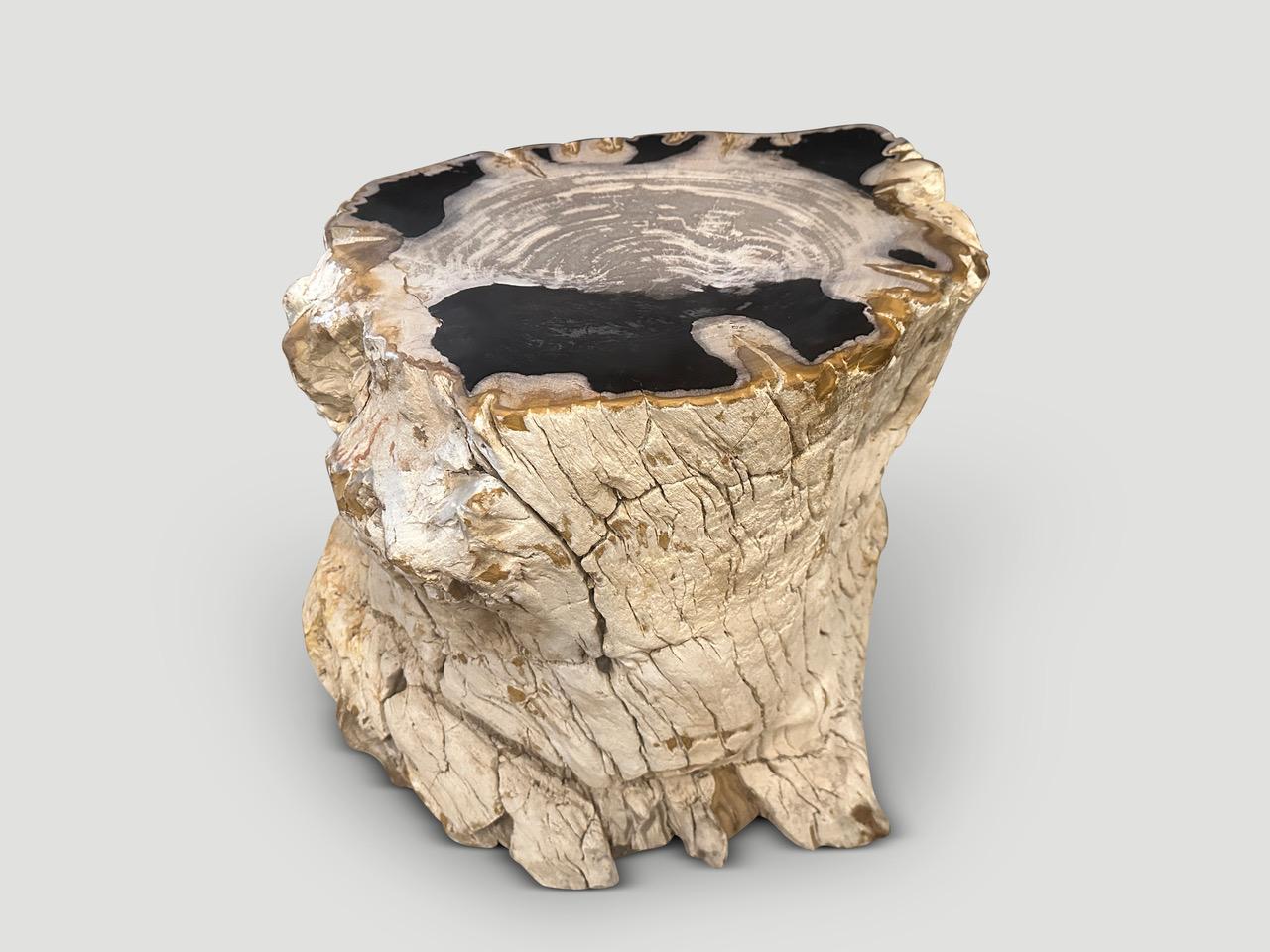 Andrianna Shamaris Rare High Quality Petrified Wood Side Table For Sale 1