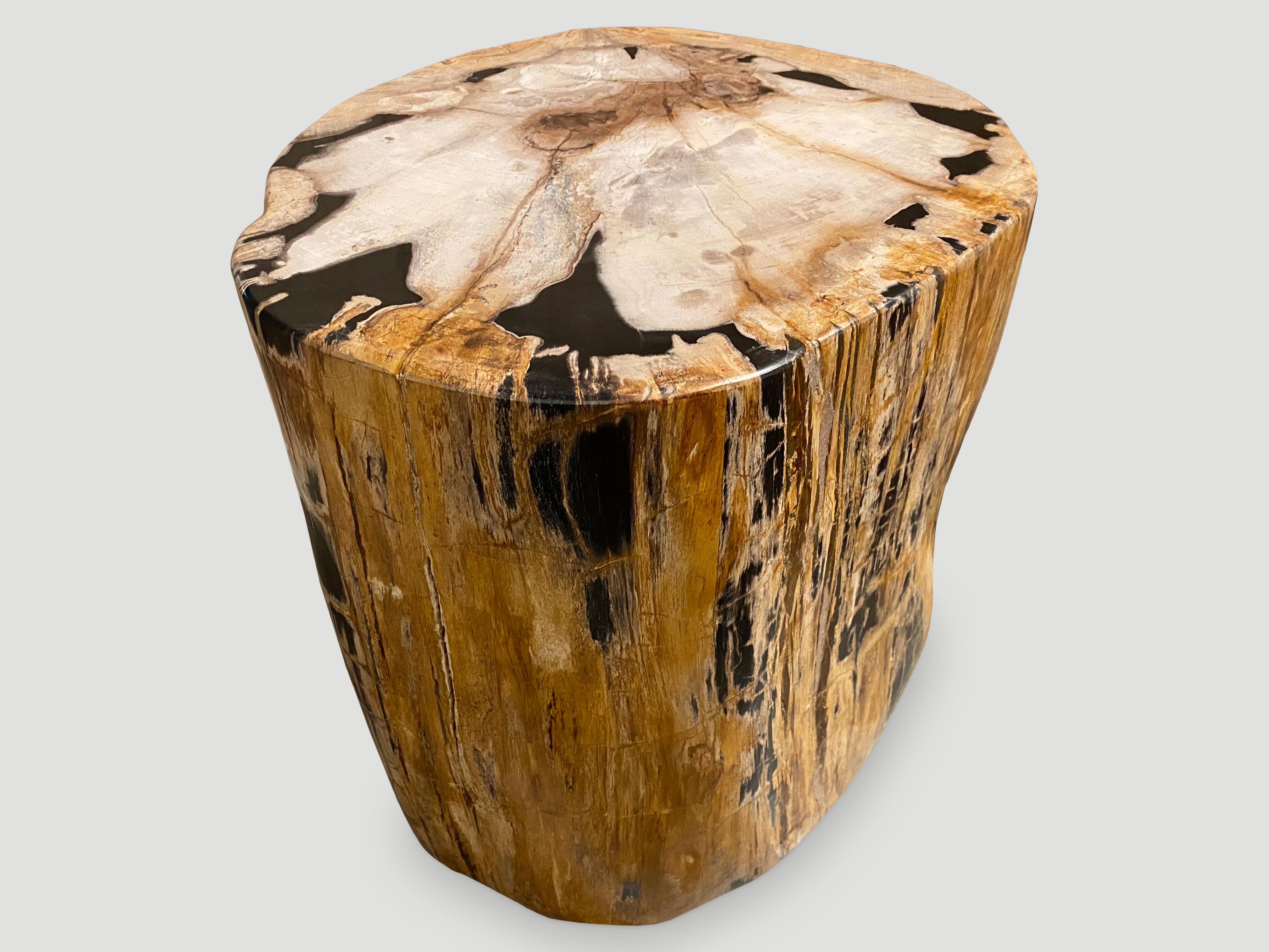 Andrianna Shamaris Rare High Quality Petrified Wood Side Table 3