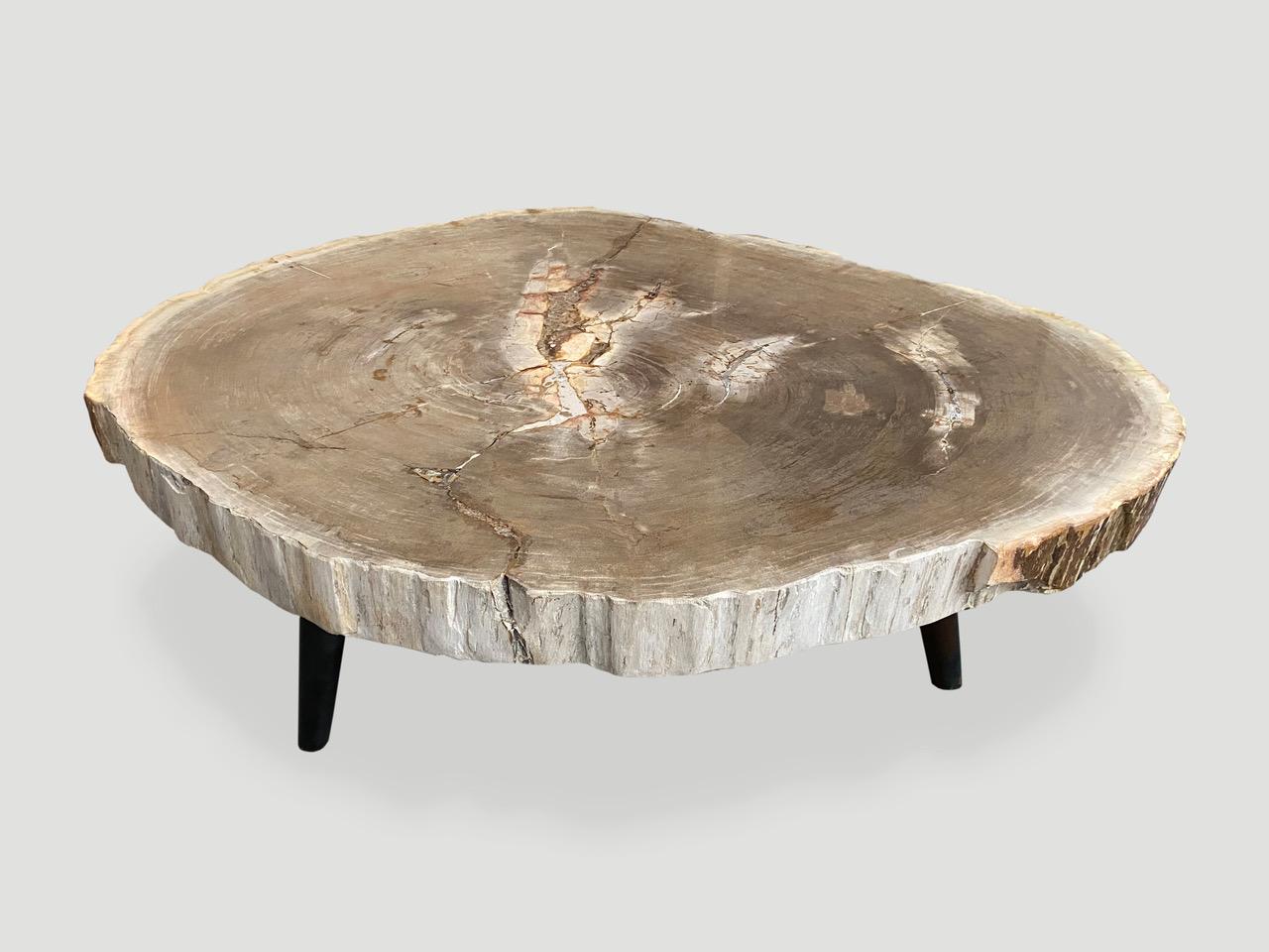 Andrianna Shamaris Rare High Quality Petrified Wood Slab Coffee Table 7