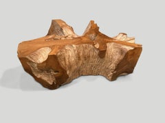 Andrianna Shamaris Rare High Quality Petrified Wood Slab Coffee Table