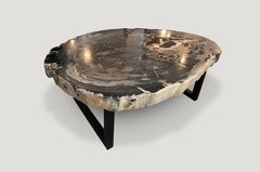 Andrianna Shamaris Rare High Quality Petrified Wood Slab Coffee Table