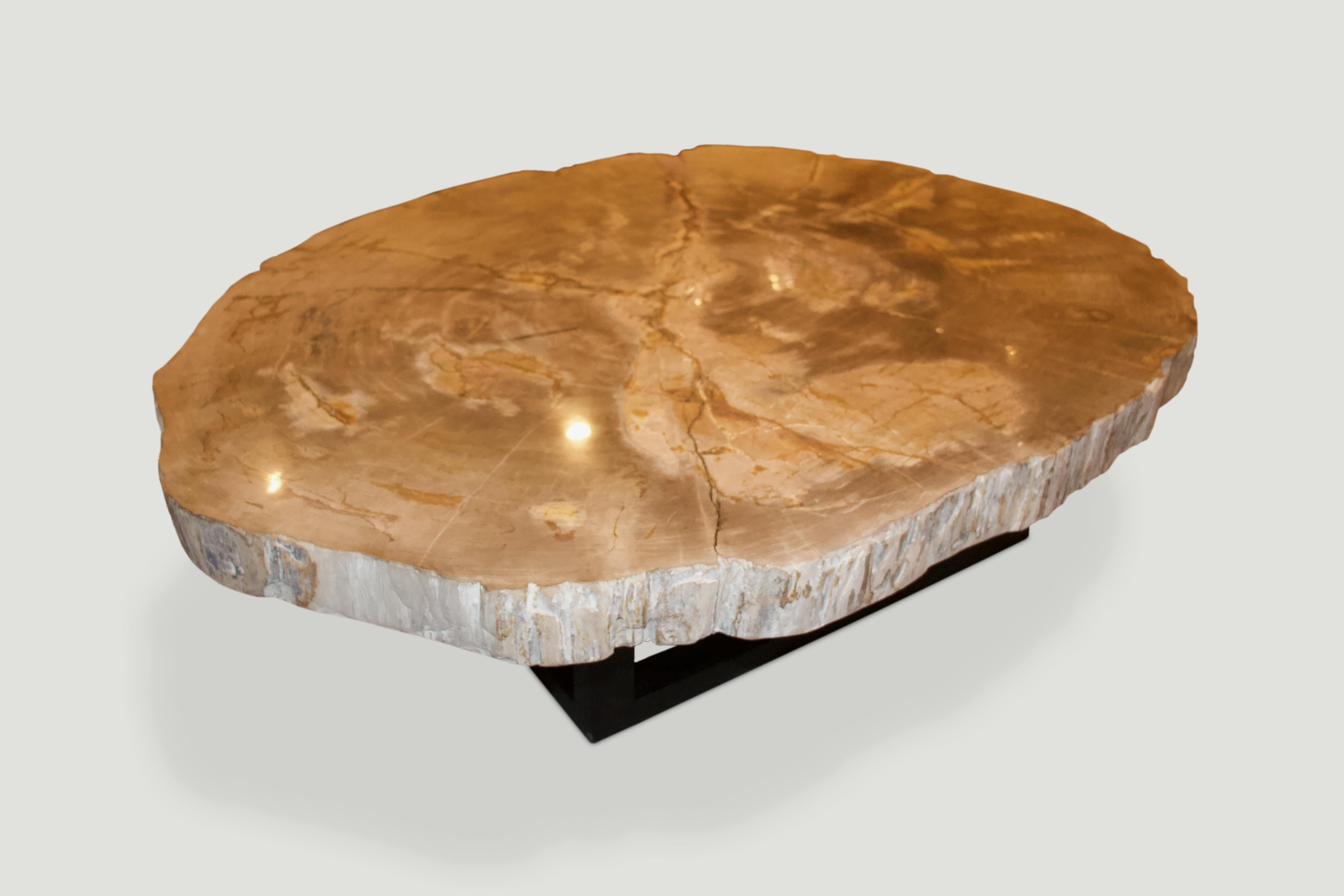 Organic Modern Andrianna Shamaris Rare High Quality Petrified Wood Slab Coffee Table