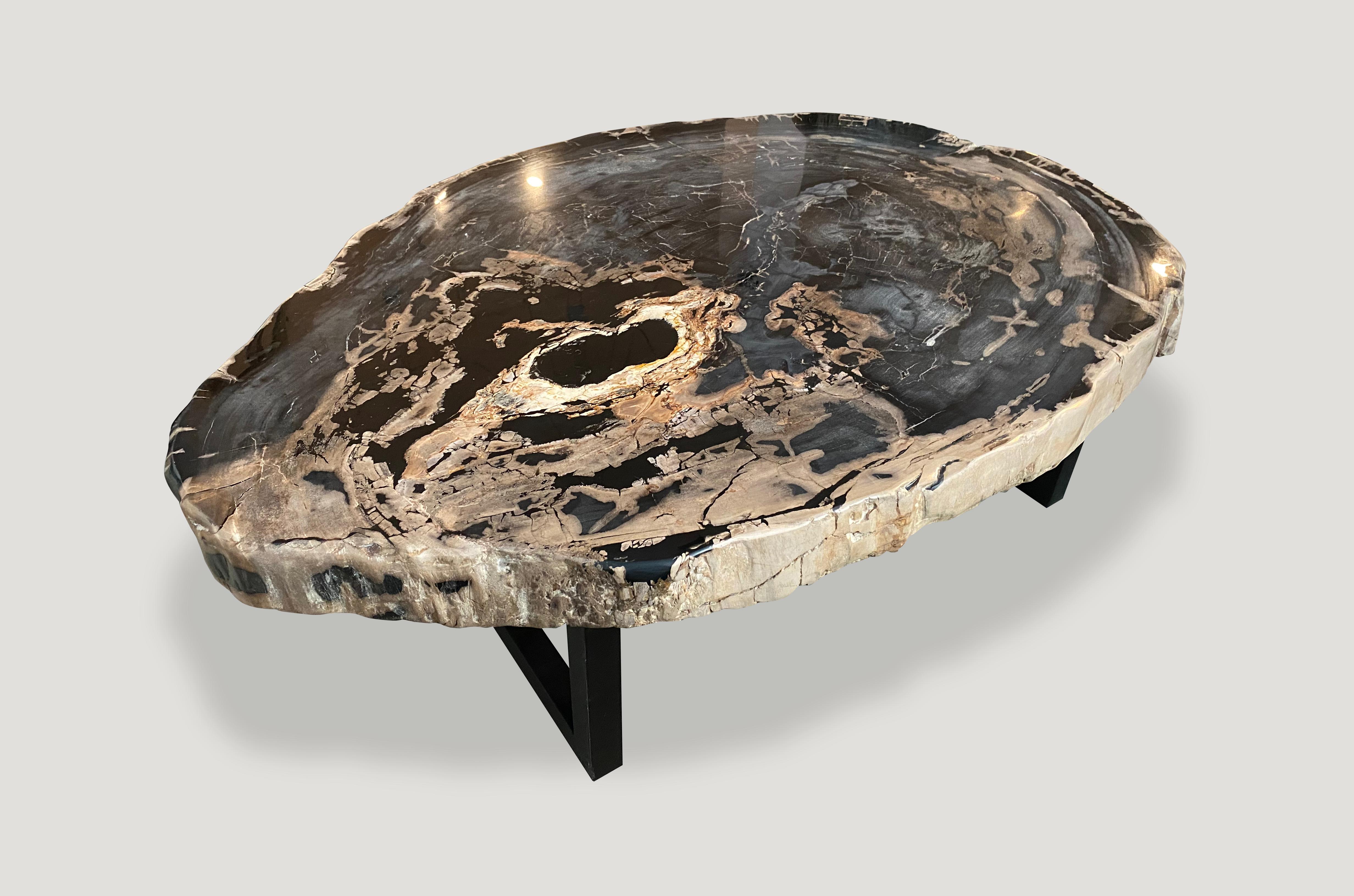 Organic Modern Andrianna Shamaris Rare High Quality Petrified Wood Slab Coffee Table