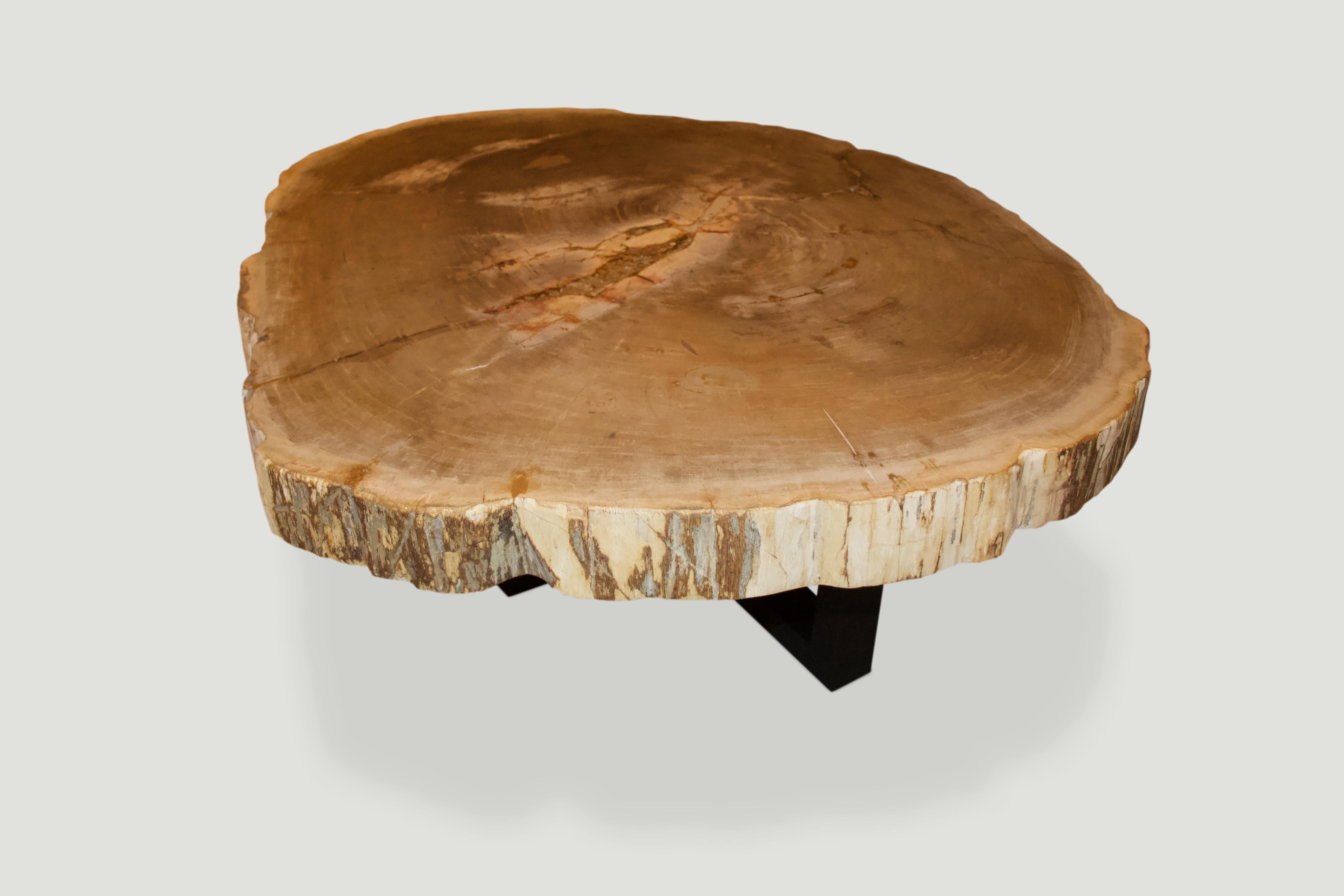 Andrianna Shamaris Rare High Quality Petrified Wood Slab Coffee Table In Excellent Condition In New York, NY