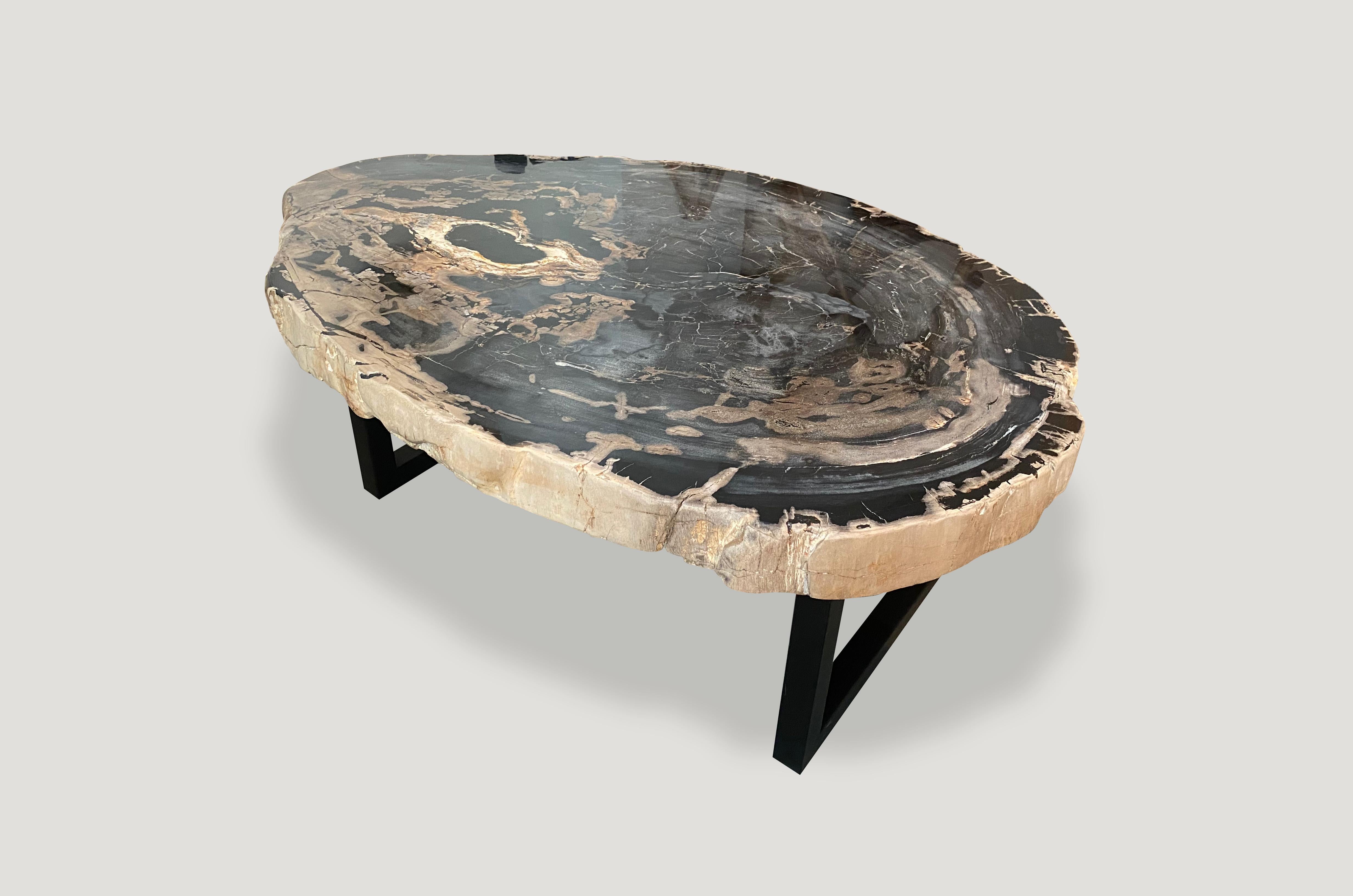 18th Century and Earlier Andrianna Shamaris Rare High Quality Petrified Wood Slab Coffee Table