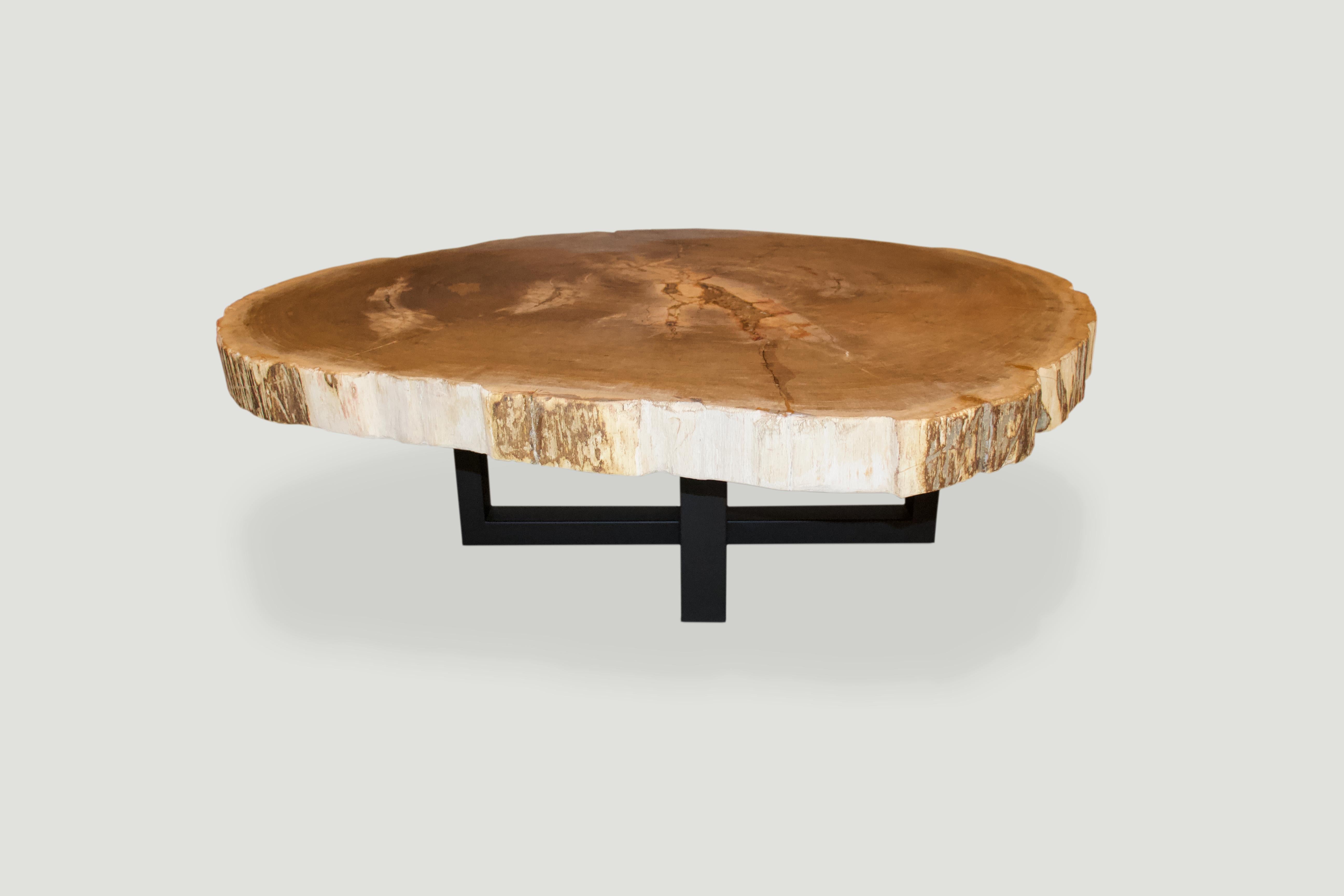 18th Century and Earlier Andrianna Shamaris Rare High Quality Petrified Wood Slab Coffee Table